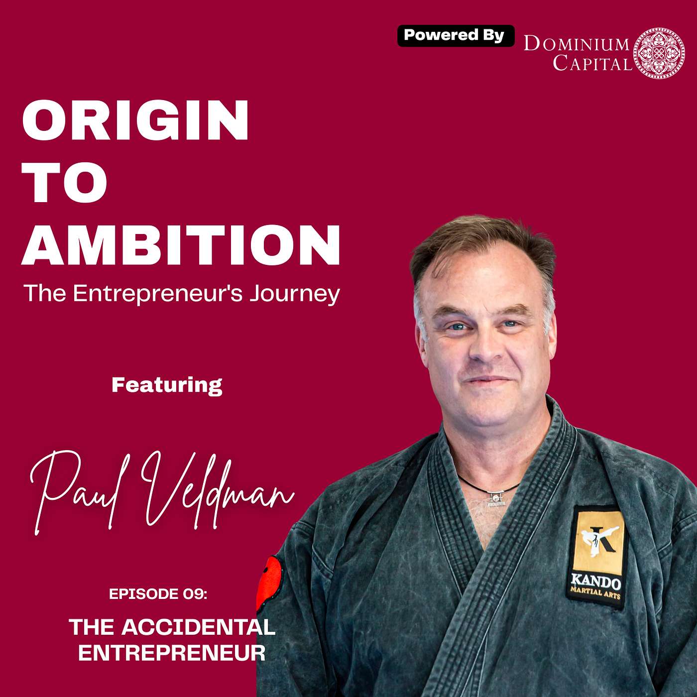 9. The Accidental Entrepreneur: The Entrepreneur's Journey with Paul Veldman