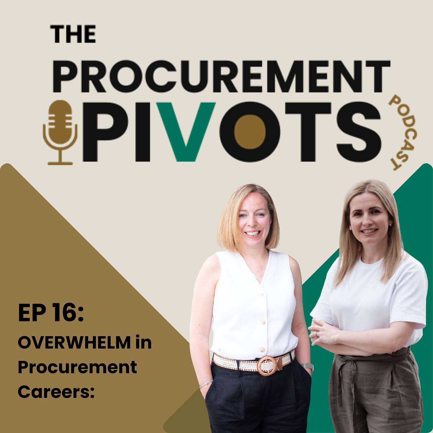 EP 16: OVERWHELM in Procurement Careers: When Progress Feels Impossible