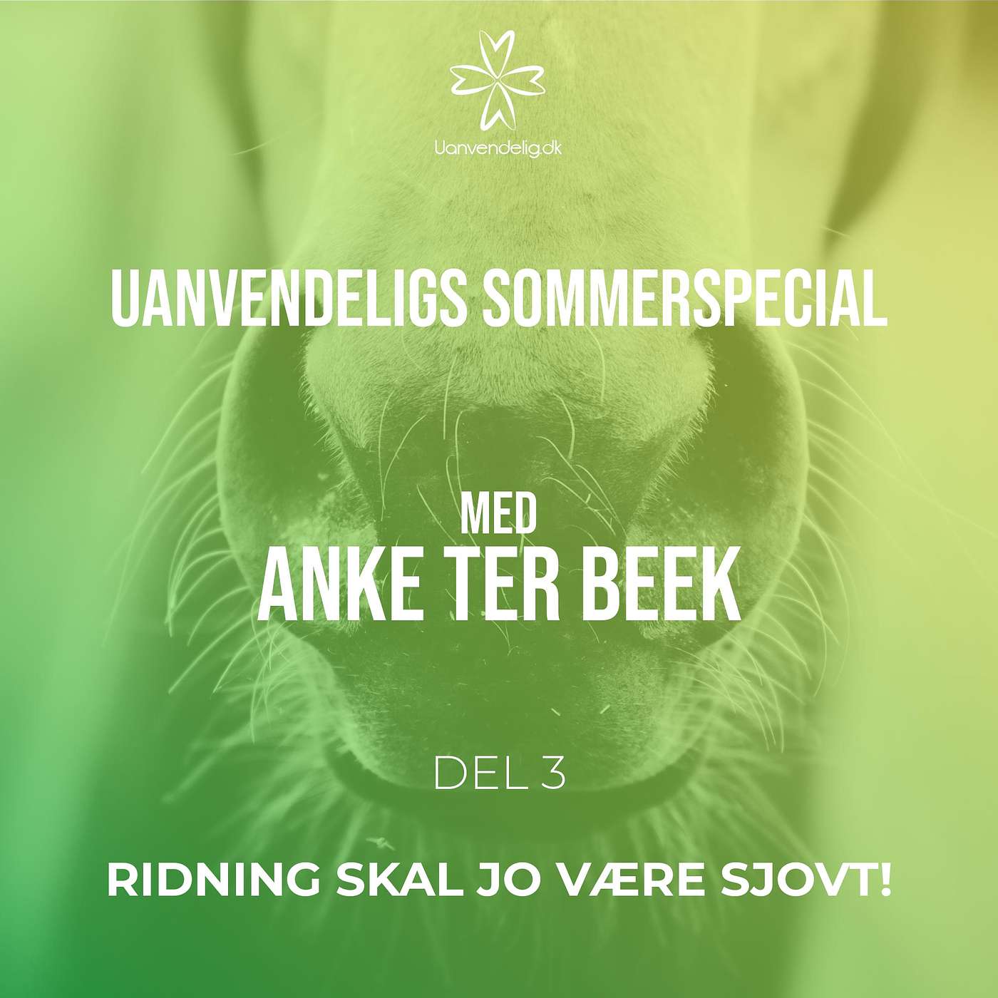 Uanvendelig eller Ridehest