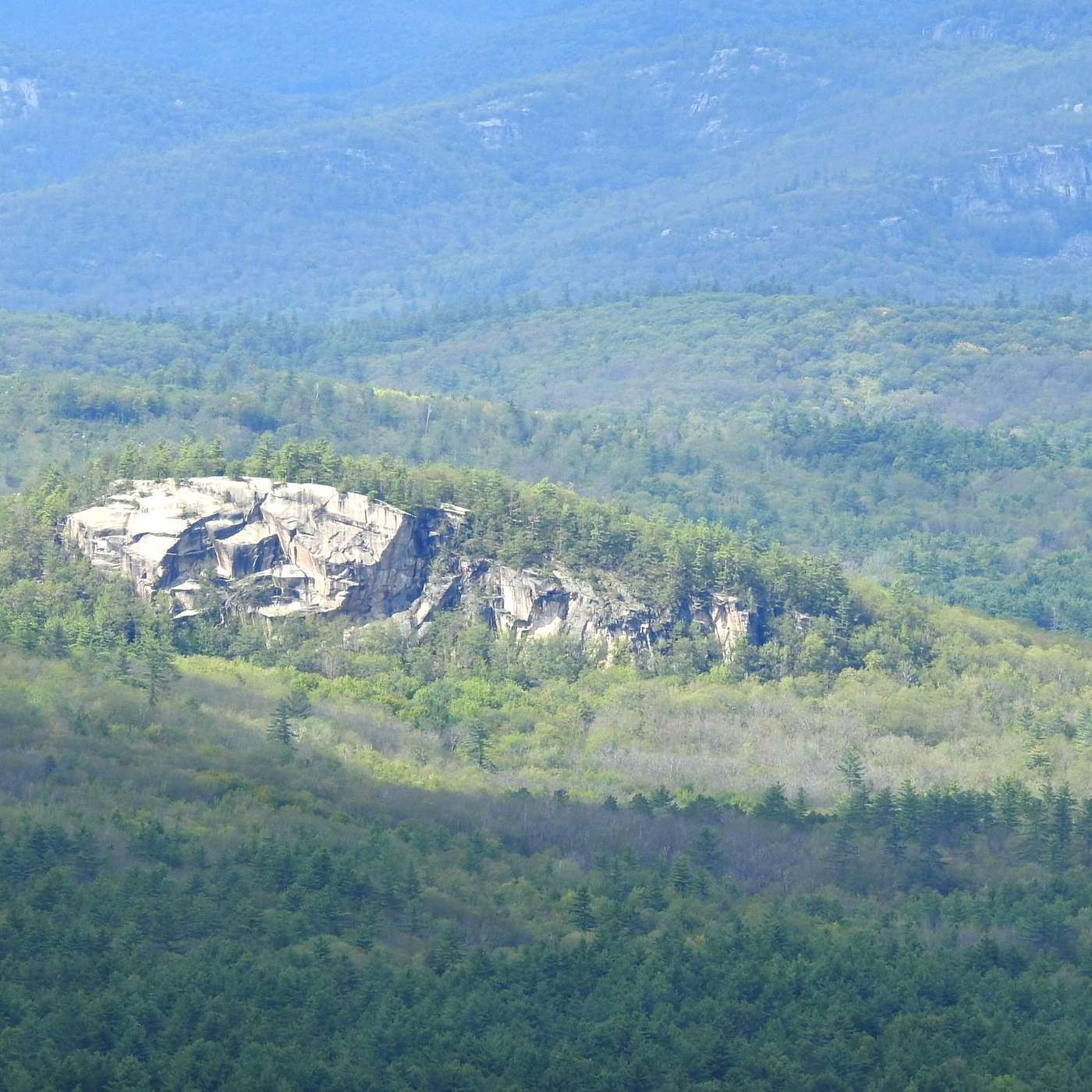 THE SECRET LIFE OF THE LEDGE