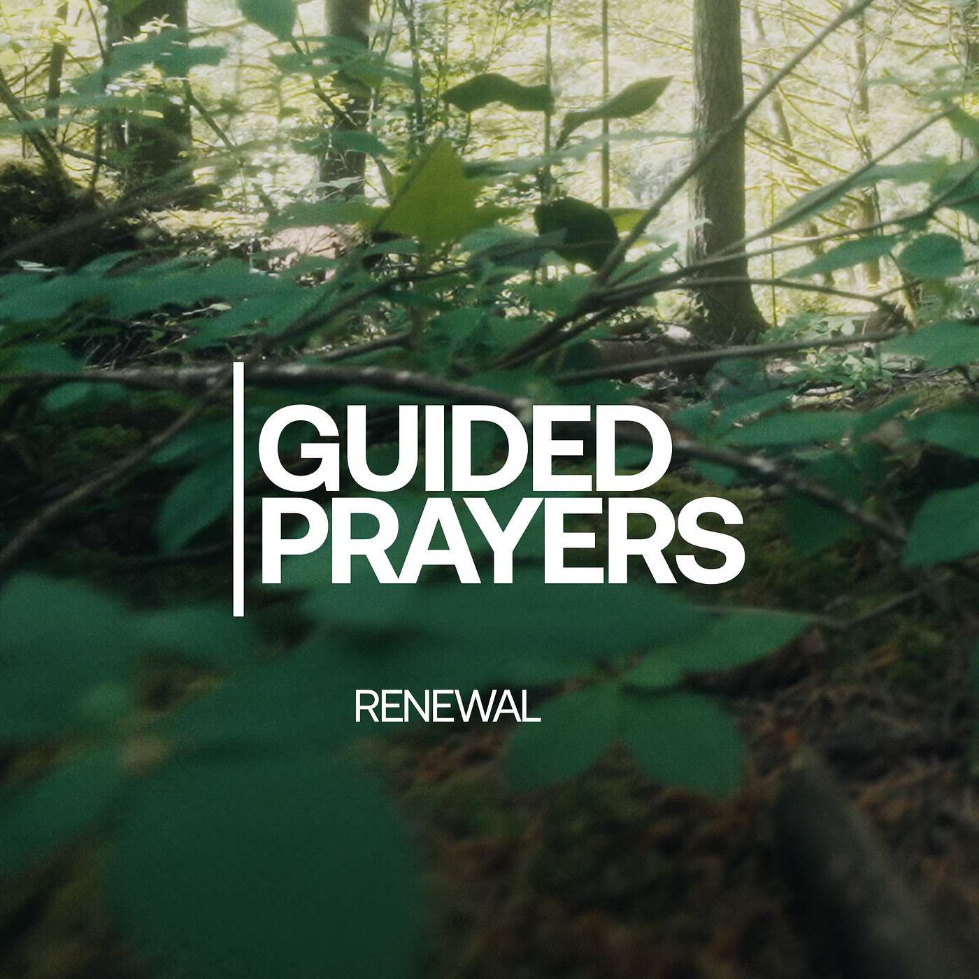 You Are Never Alone | Guided Prayers episode artwork