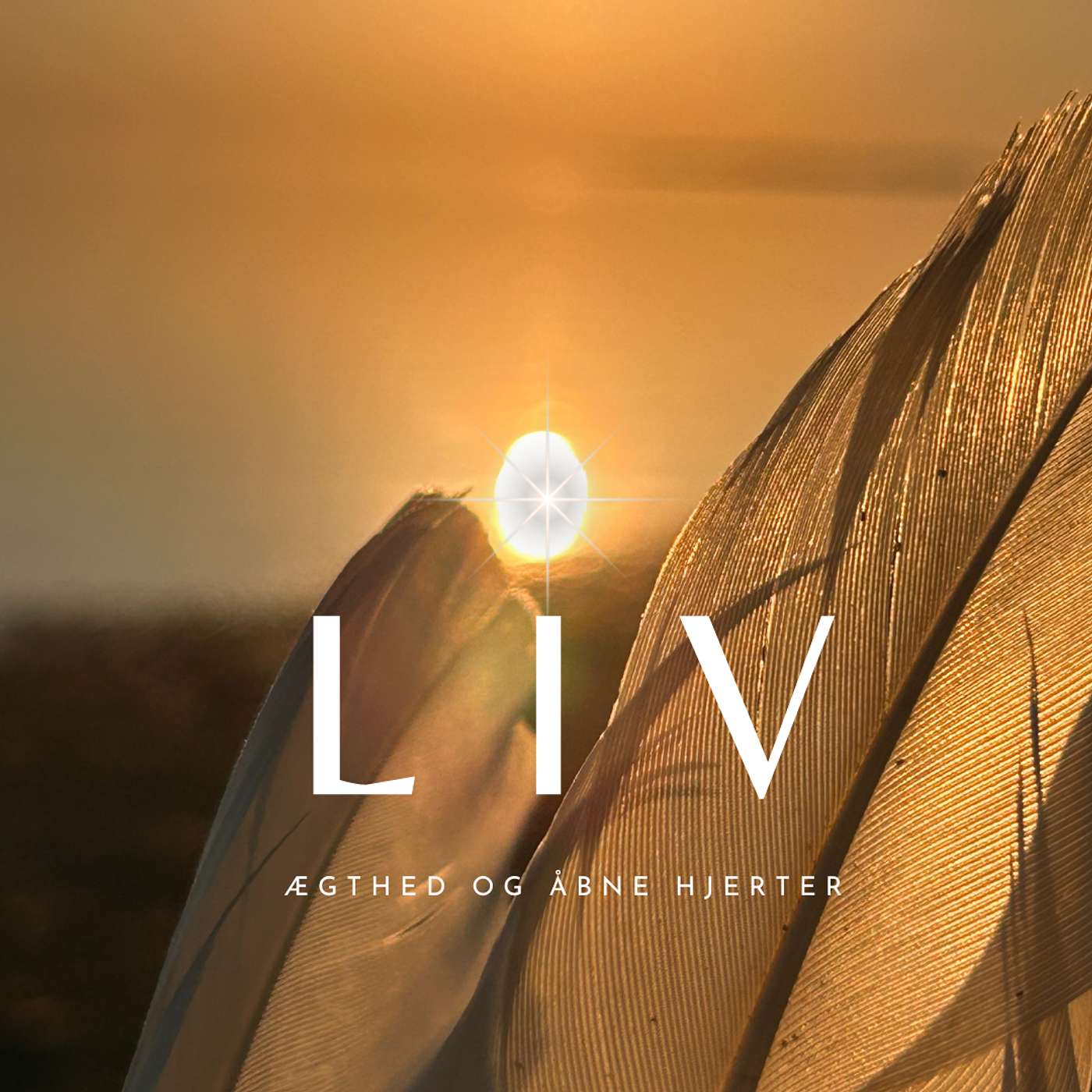 LIV - ægthed og åbne hjerter