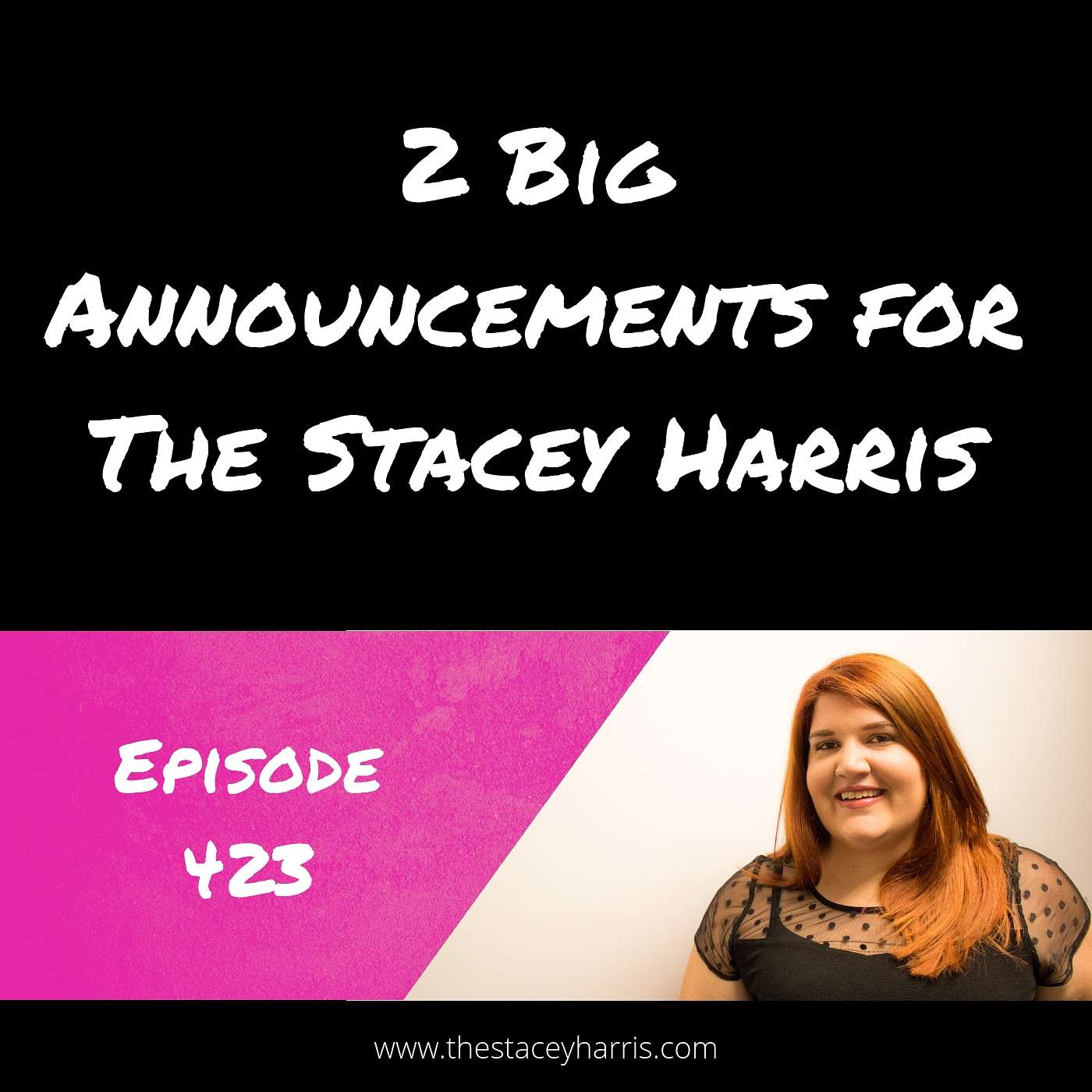 The More Profitable Podcast with Stacey Harris