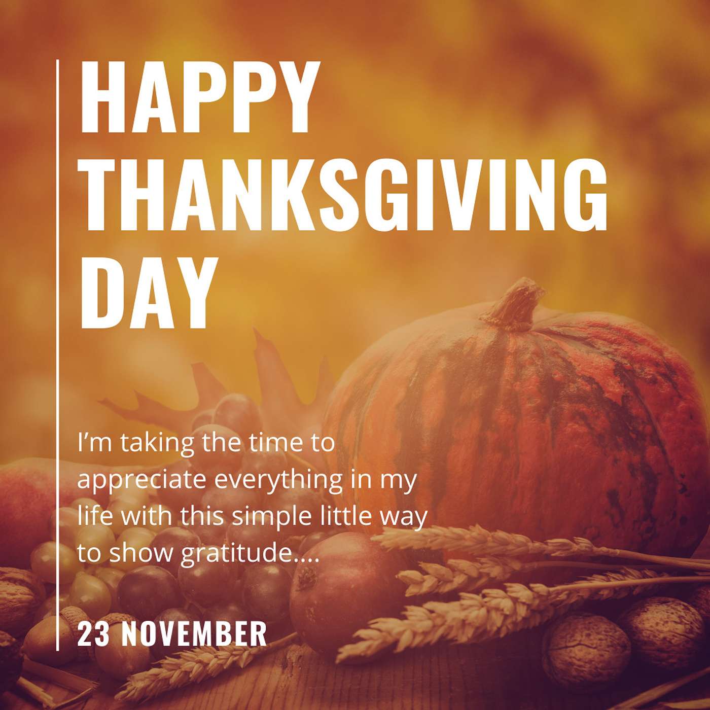 Happy Thanksgiving! | The Ultimate Framework for Finding Gratitude in Your Life episode artwork