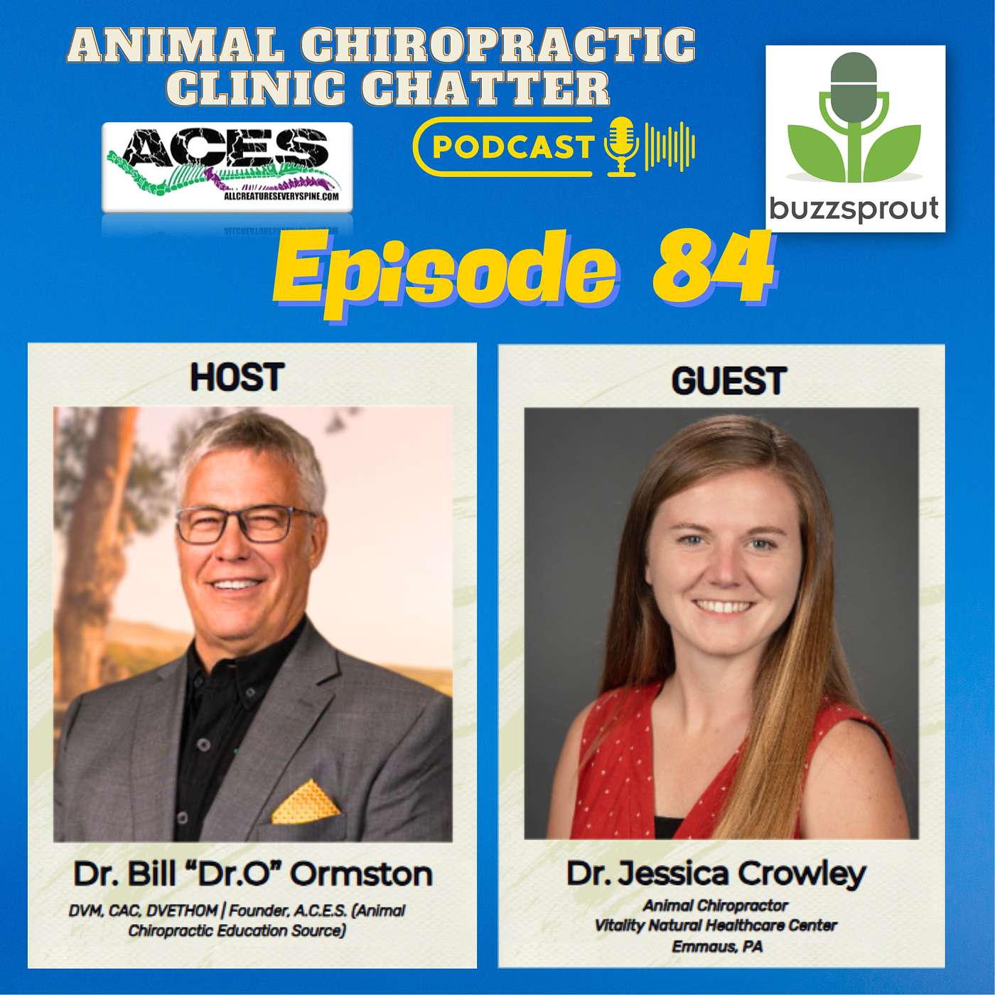 Animal Chiropractic Clinic Chatter