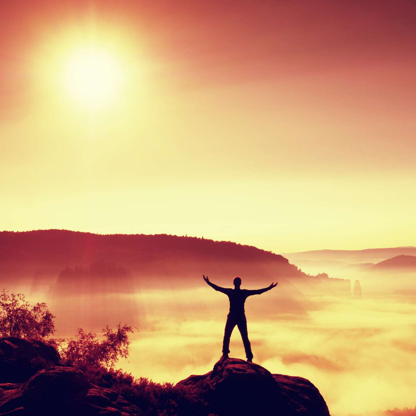 Meditation: Nurturing Authentic Connection with Self & World
