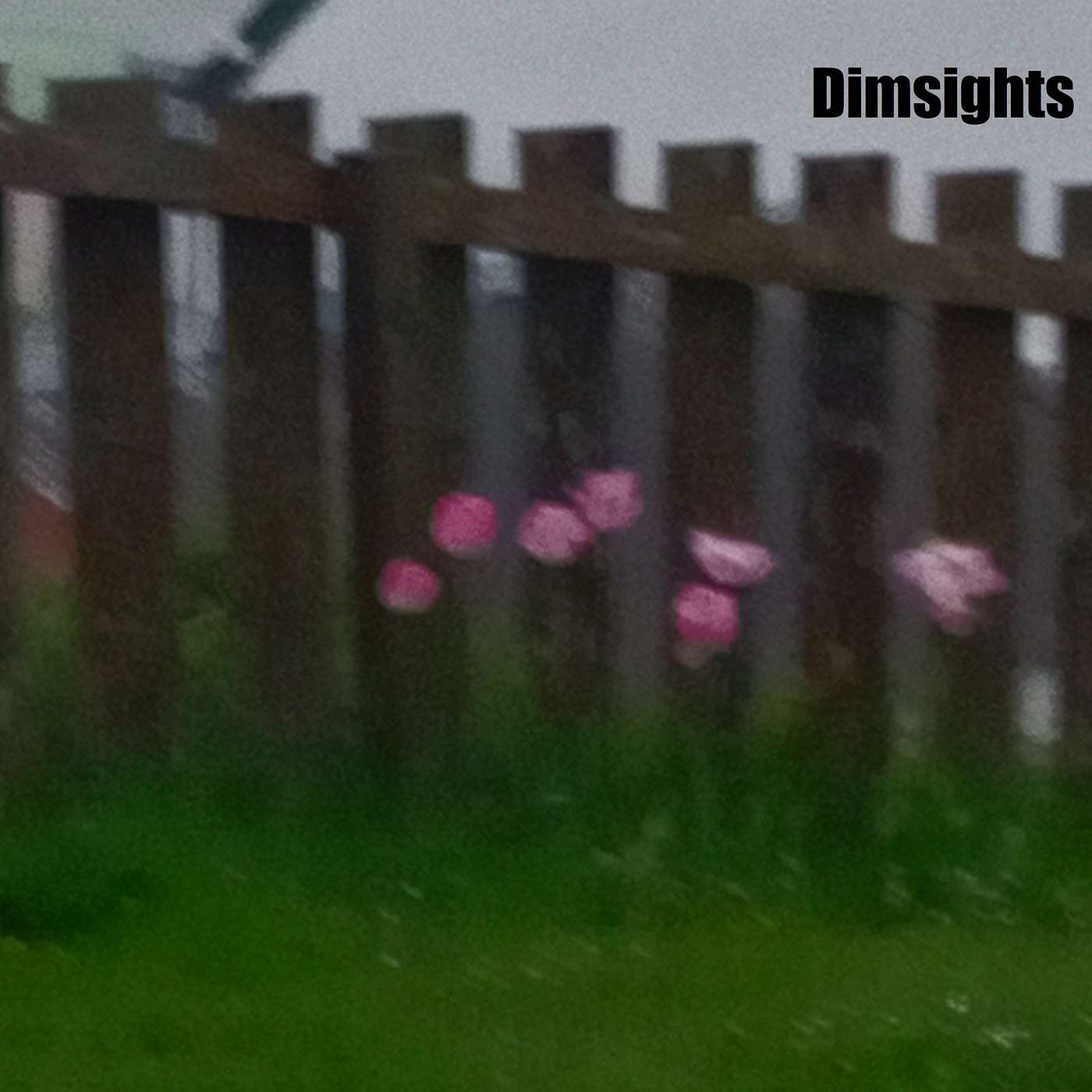 Dimsights