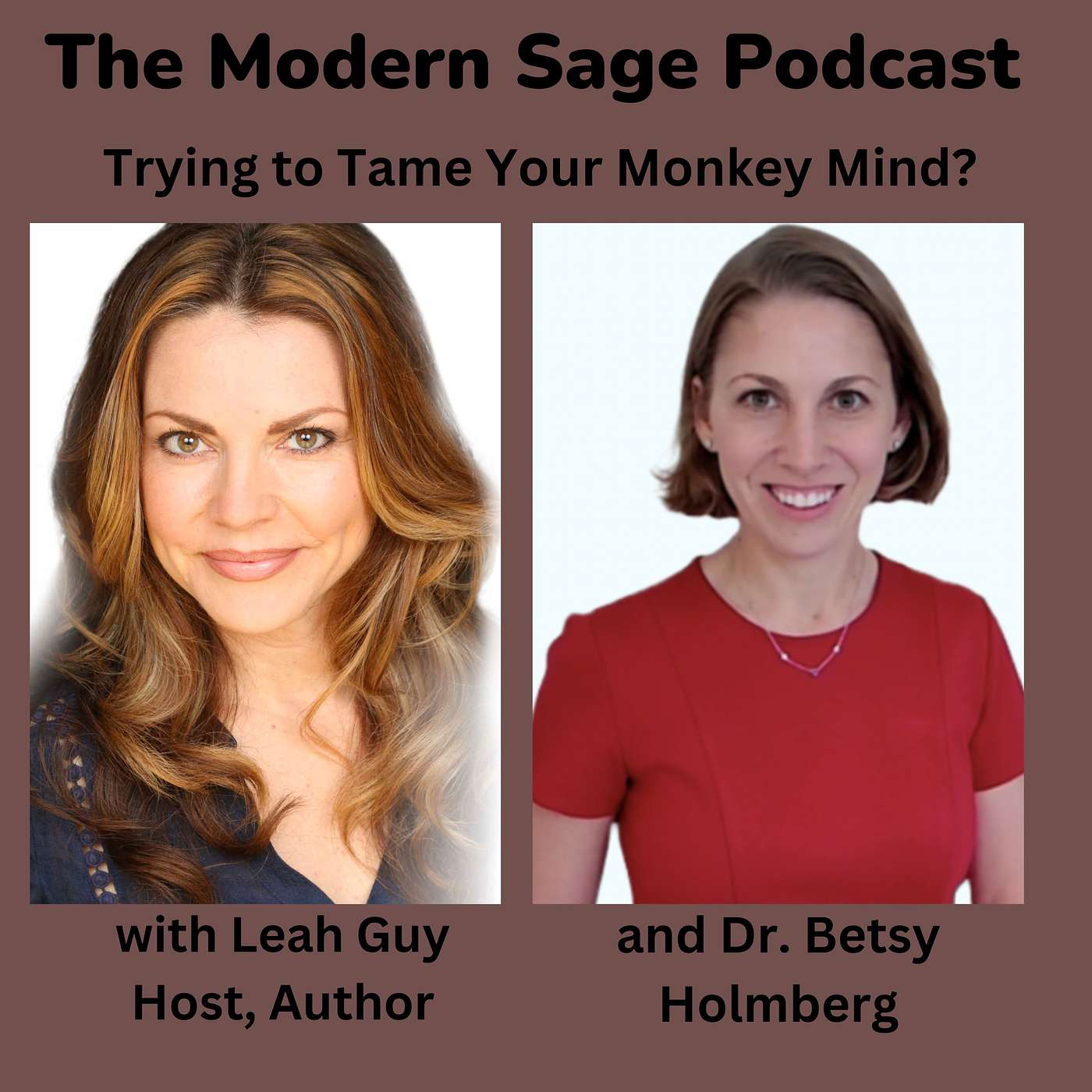 The Modern Sage Podcast