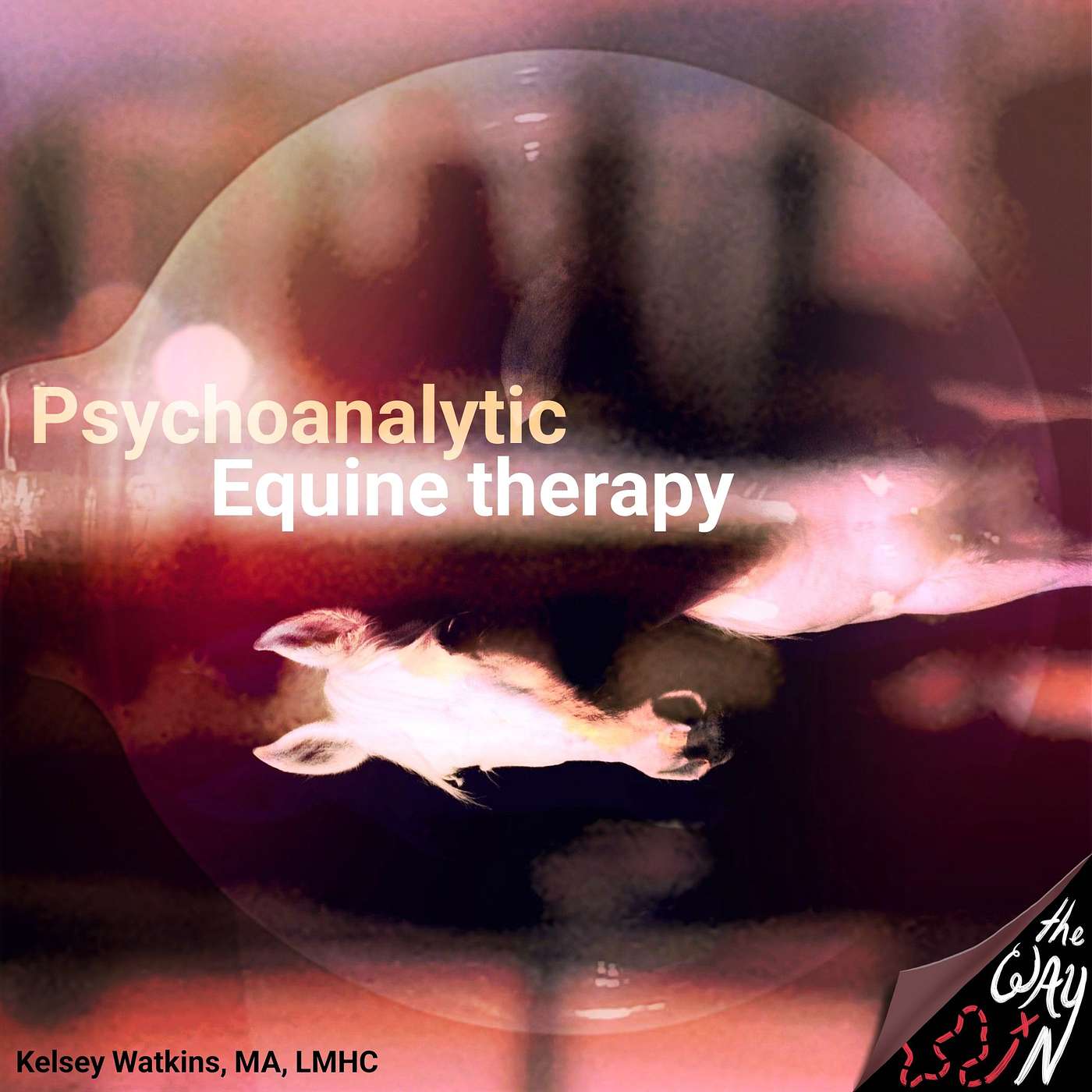 The Way In: Psychotherapy Demystified