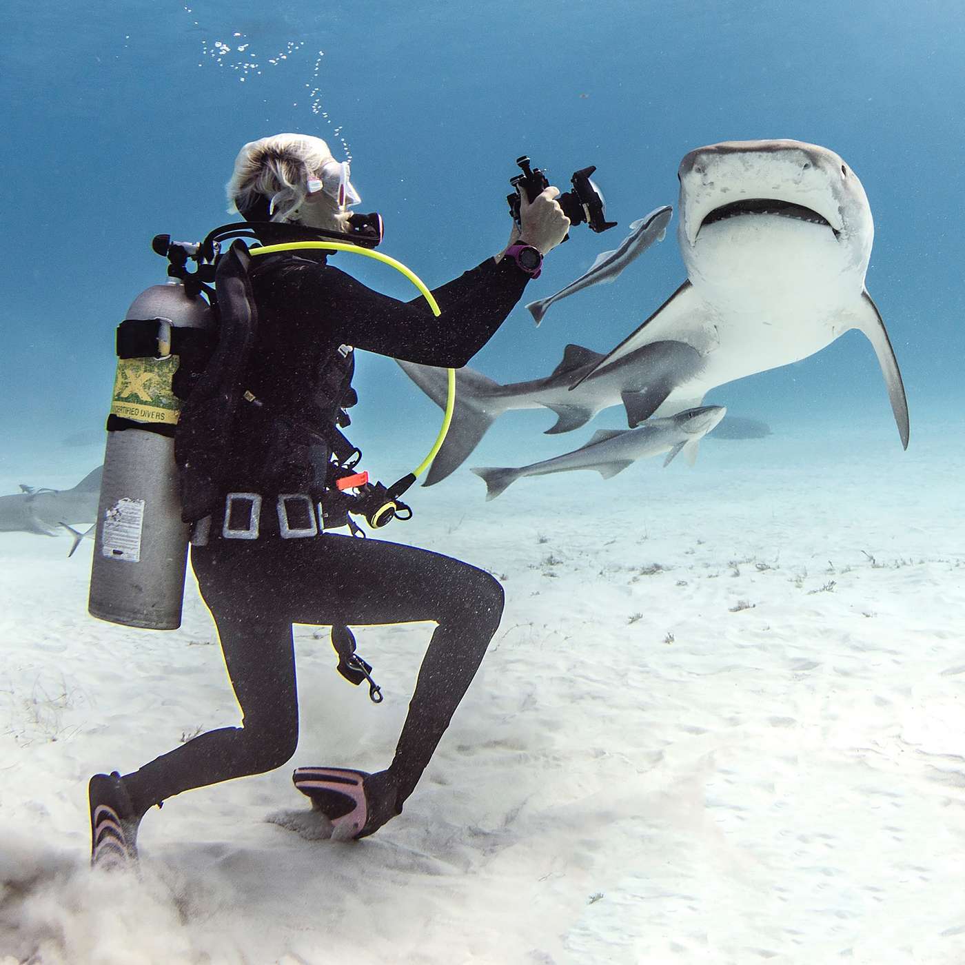 So You Want to Be a Marine Biologist