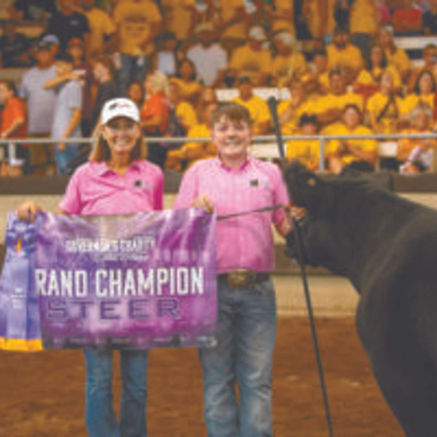 Chairty Event is a Beloved Iowa State Fair Tradition episode artwork