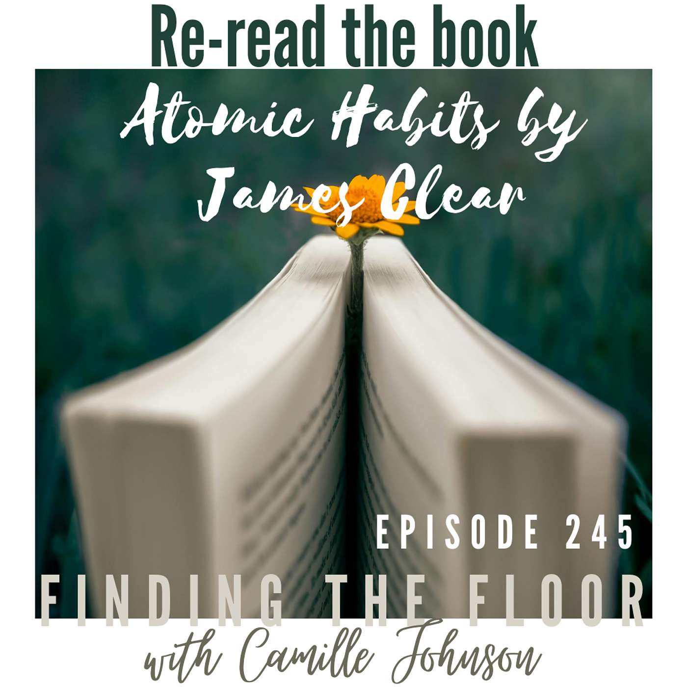 Ep. 245 - Re-read the book Atomic Habits by James Clear