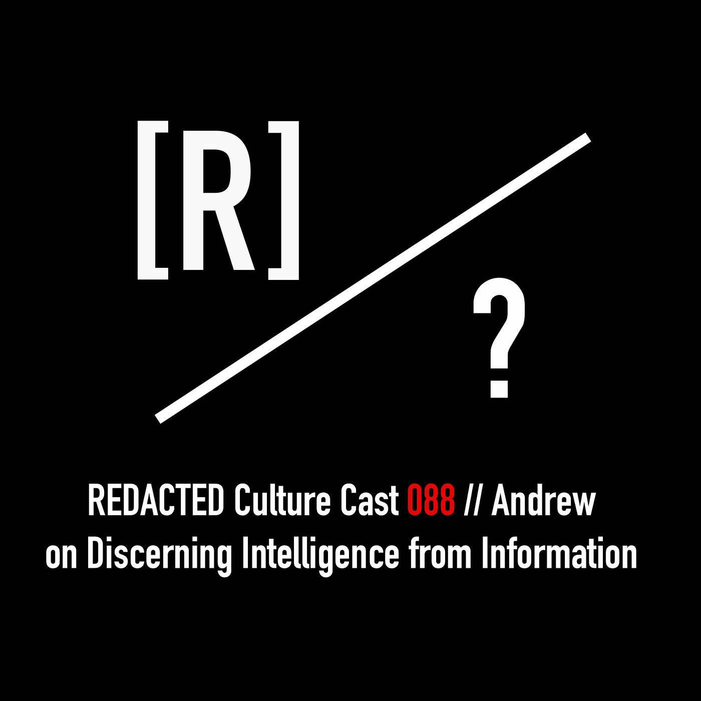 088: Andrew on Discerning Intelligence from Information