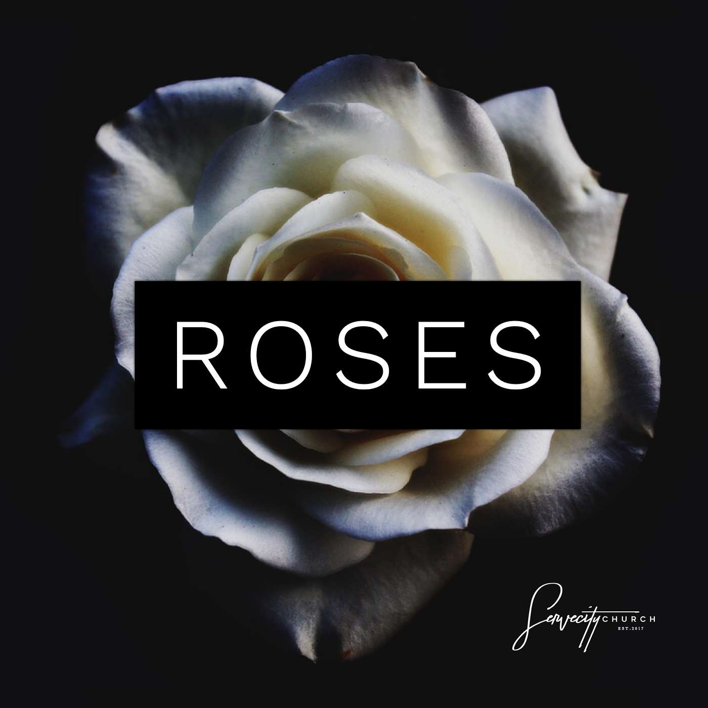 Be The Dirt | Part 2 | ROSES SERIES