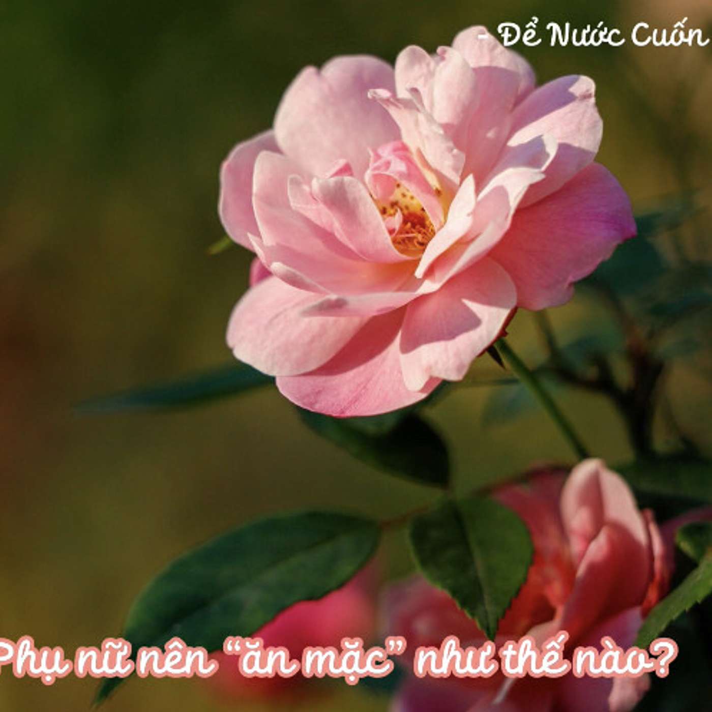 LÀM THẾ NÀO ĐỂ PHỤ NỮ BÌNH AN, KHỎE MẠNH VÀ HẠNH PHÚC HƠN? #3 | PHỤ NỮ NÊN "ĂN MẶC" NHƯ THẾ NÀO?