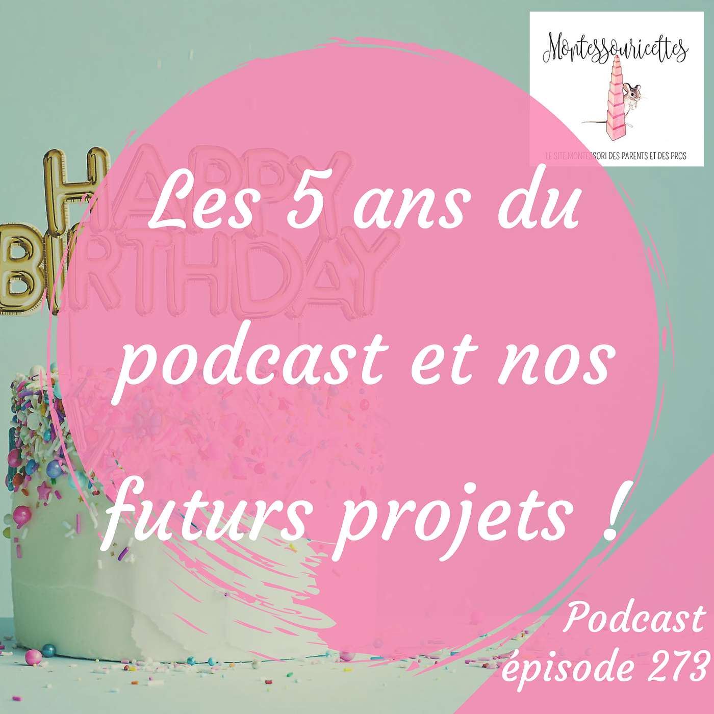 273. Podcast anniversaire : Les 5 ans du podcast et nos futurs projets ! episode artwork