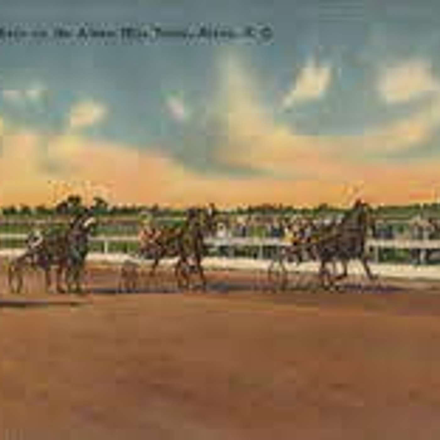 Aiken, SC – A Day in the Life of an Undercover Exterminator episode artwork