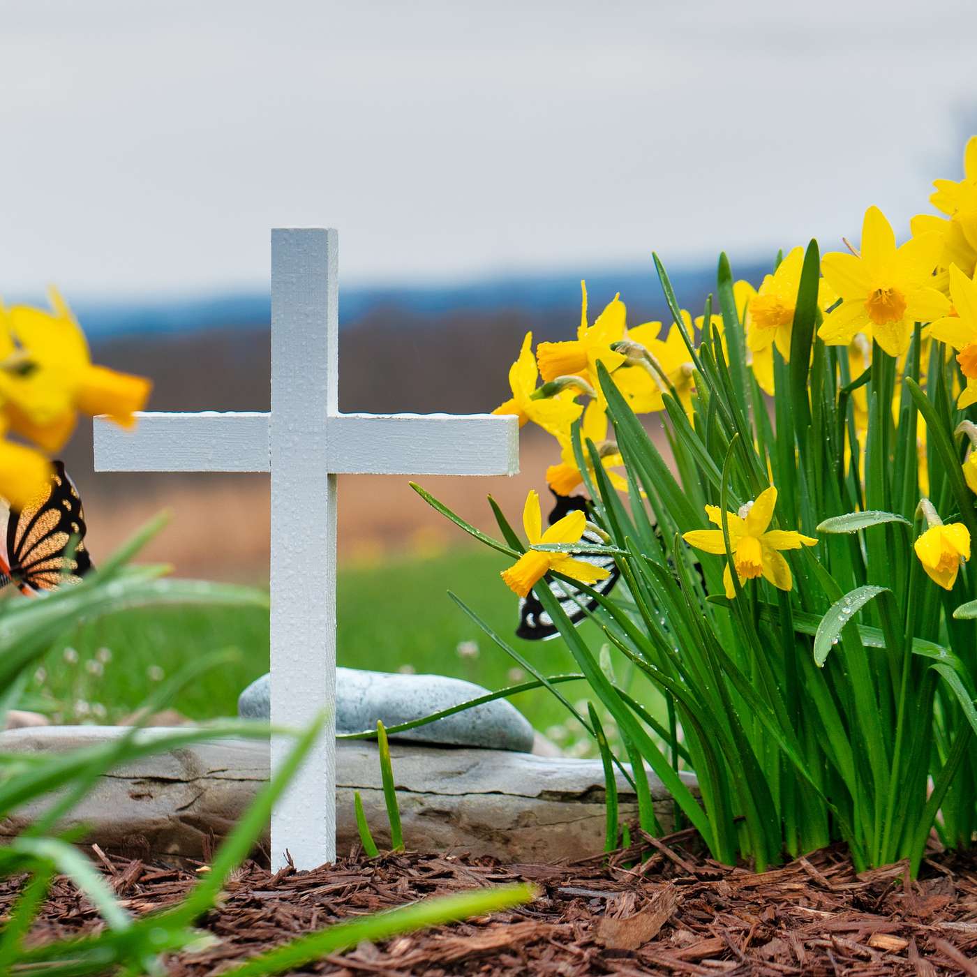 Seattle Mennonite Church Sermons
