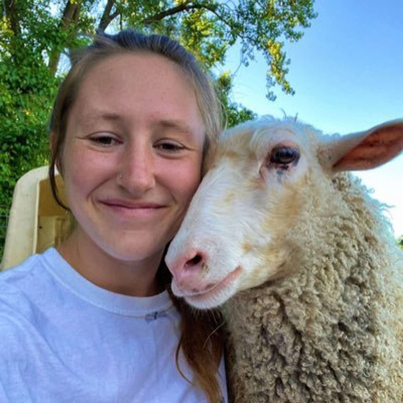 Ep 138 Yankee Rock Farm: Finn Is In The Hunger AND Wool Games This Time