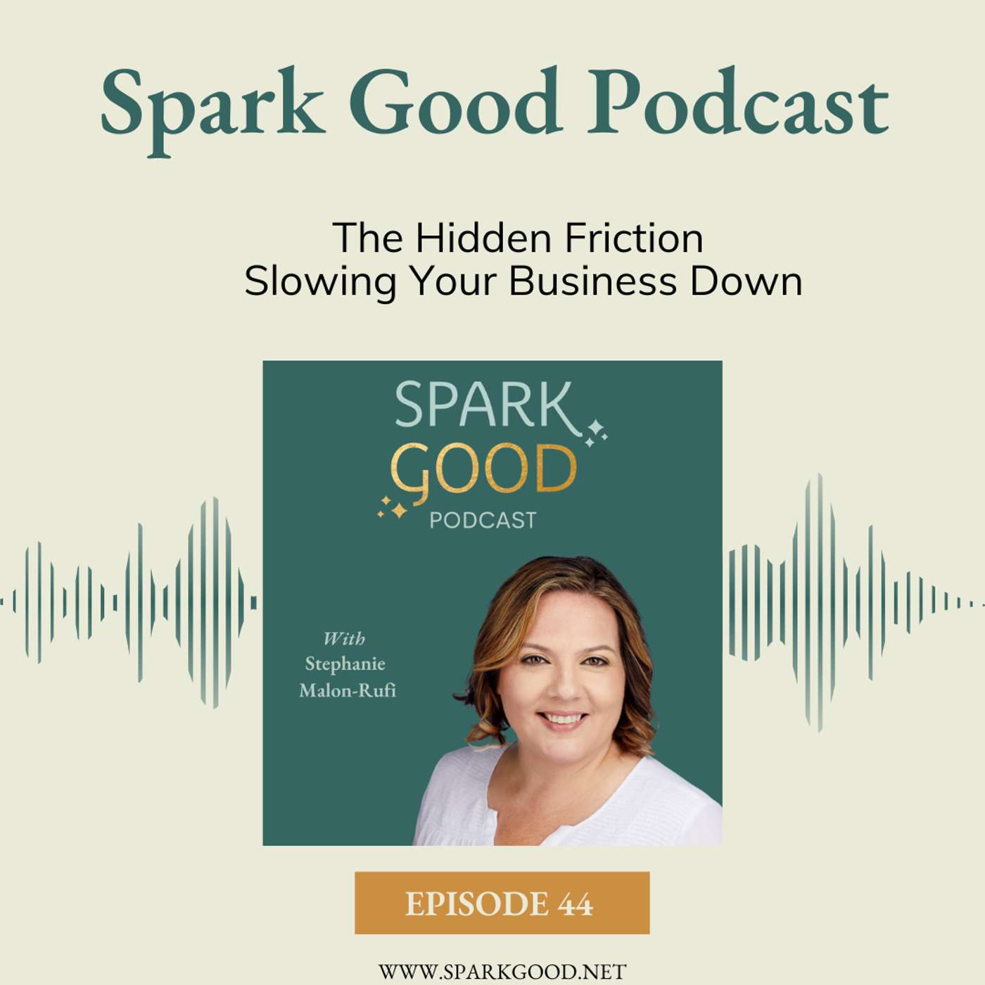 #44: The Hidden Friction Slowing Your Business Down episode artwork