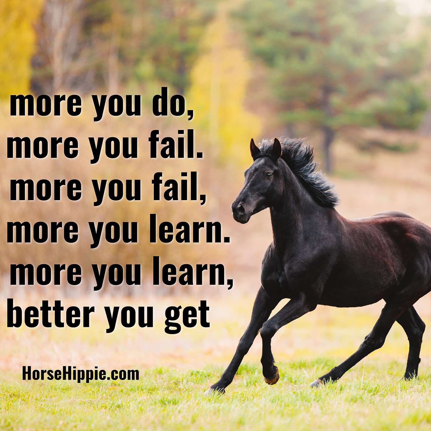 Willing to Try…and Fail