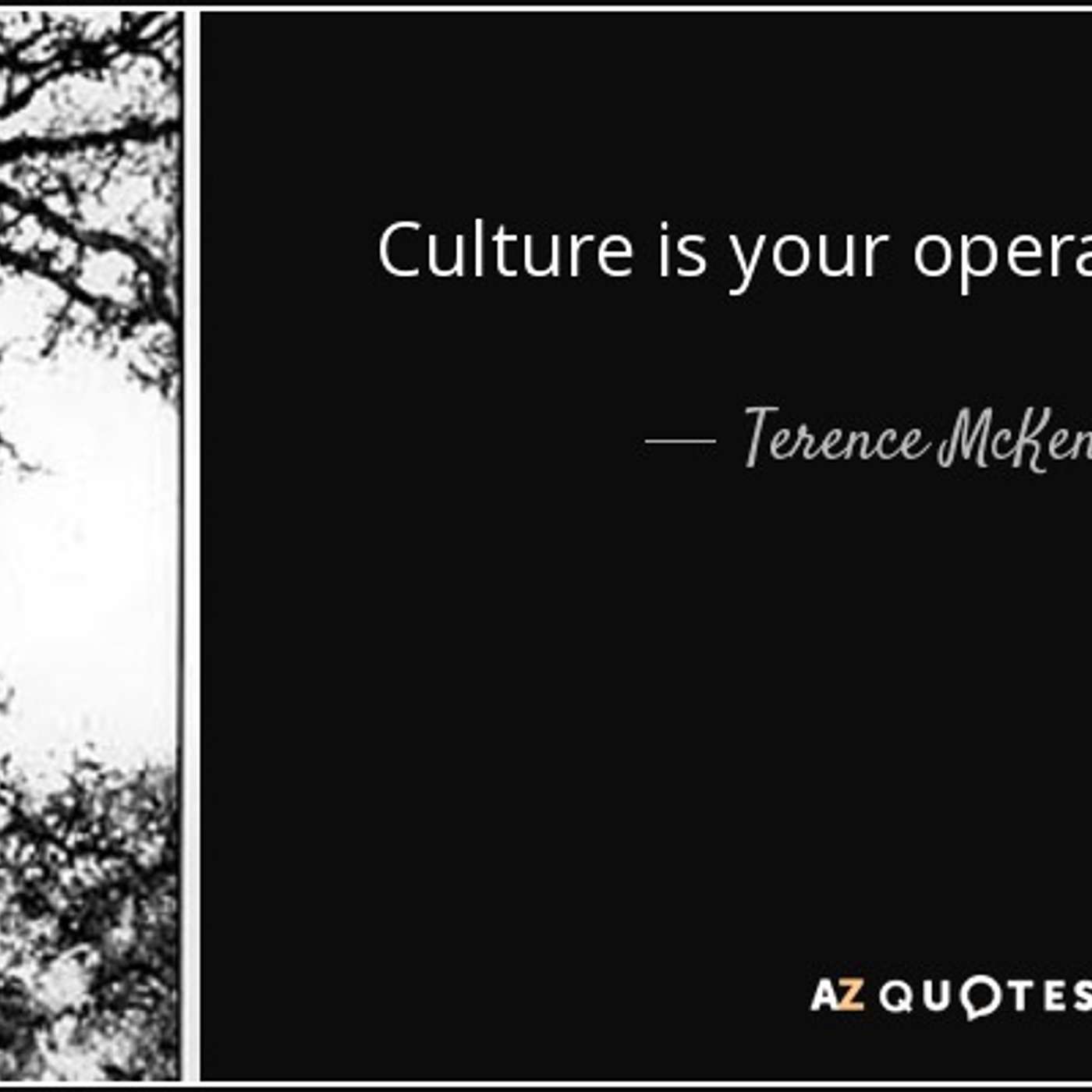 EP 10 - Culture is your operating system, Boshido, learn about the world.