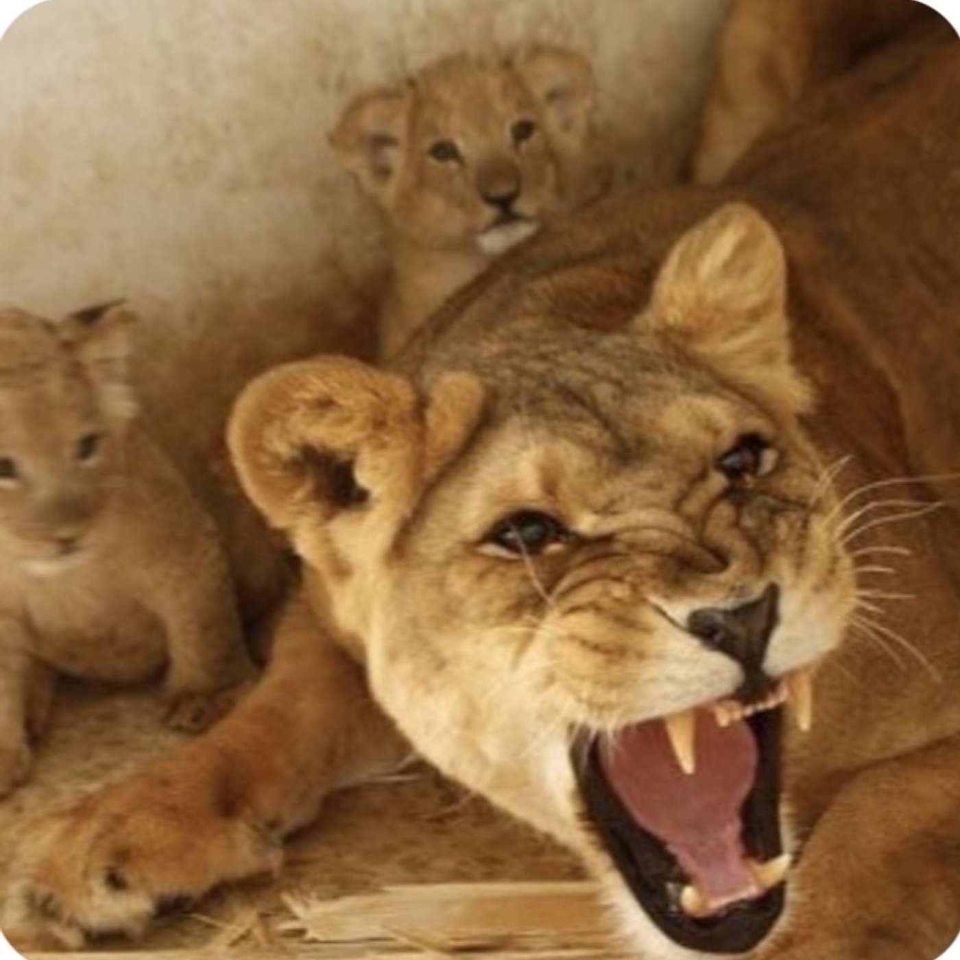 Patriot Dad, Warrior, Speaks Out On The Perspective Of Victimized Fathers Through CPS