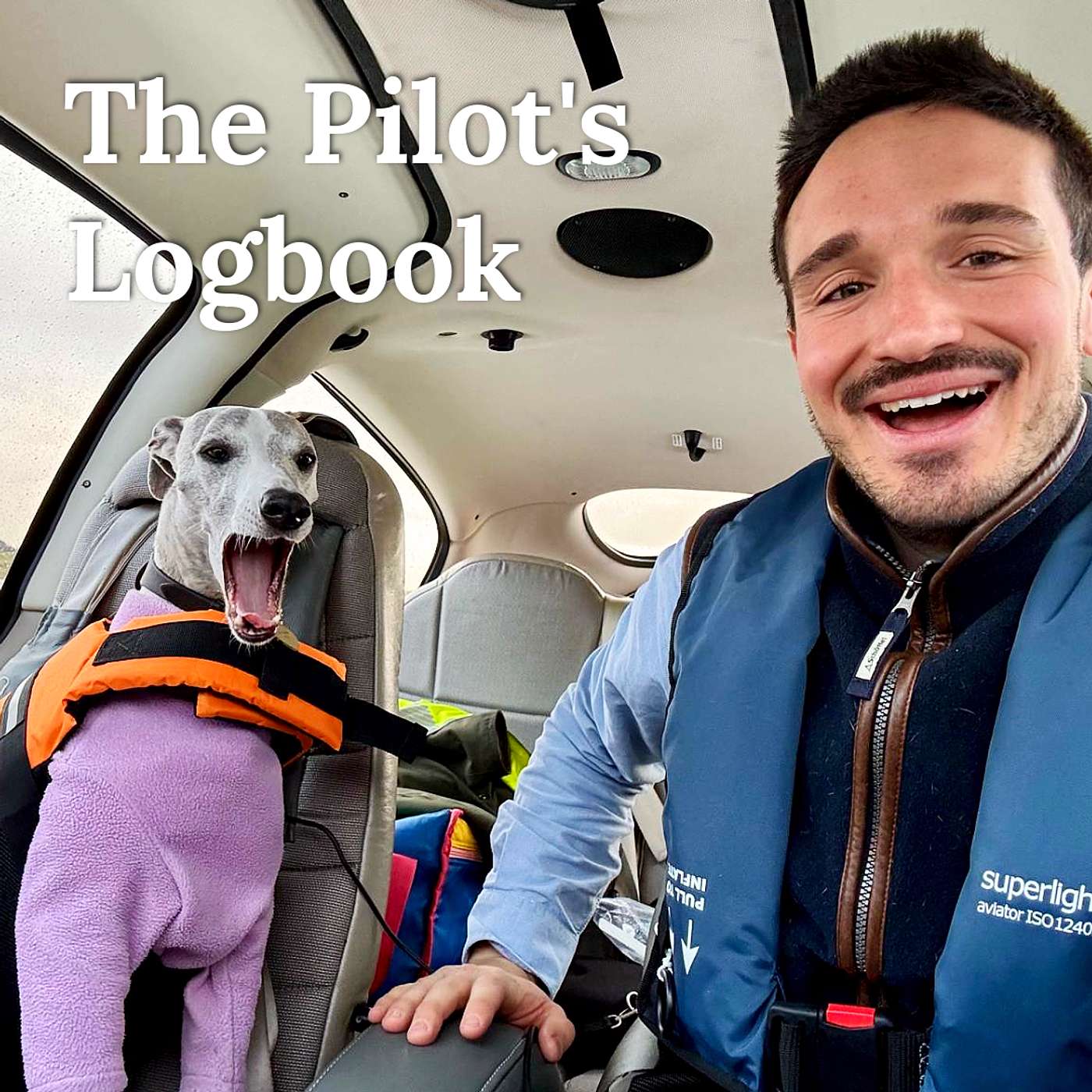 All About Flying with Your Dog