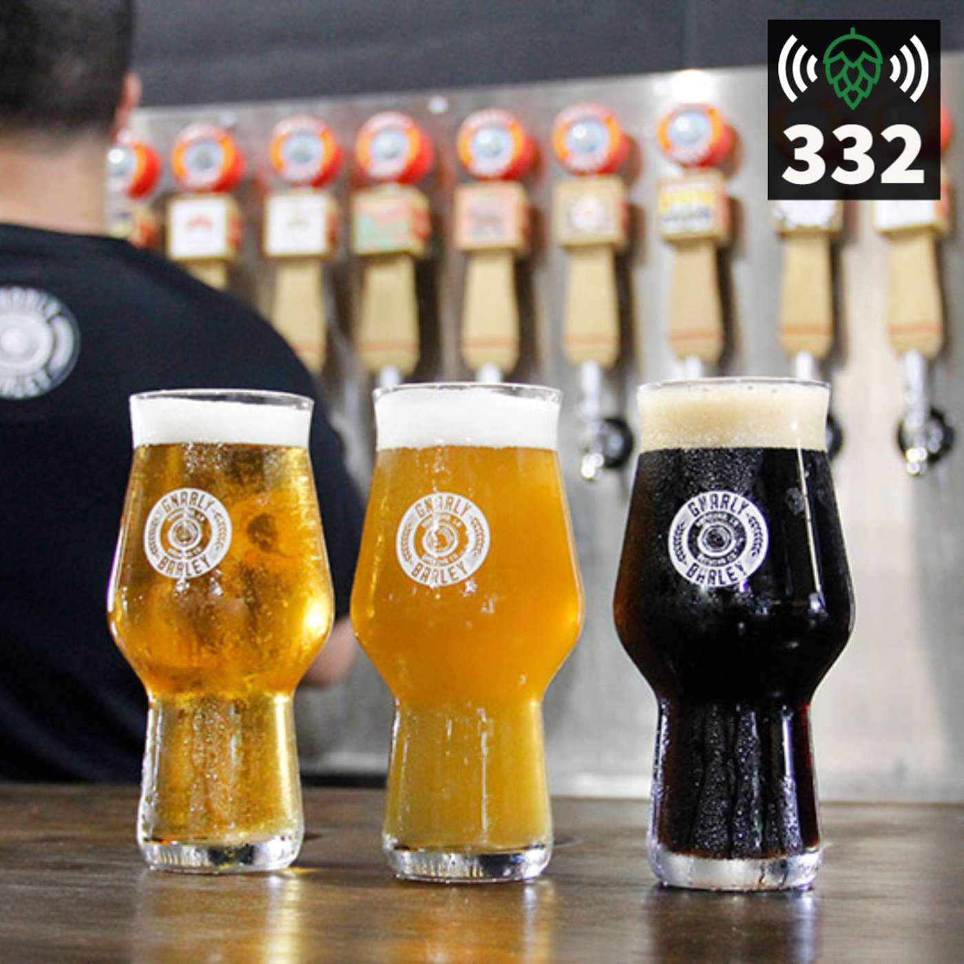 E332: Gnarly Barley Brewing Co.