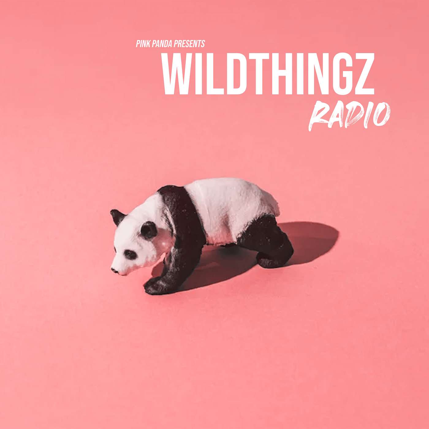 Pink Panda Presents - Wild Thingz Radio - Ep 26 episode artwork