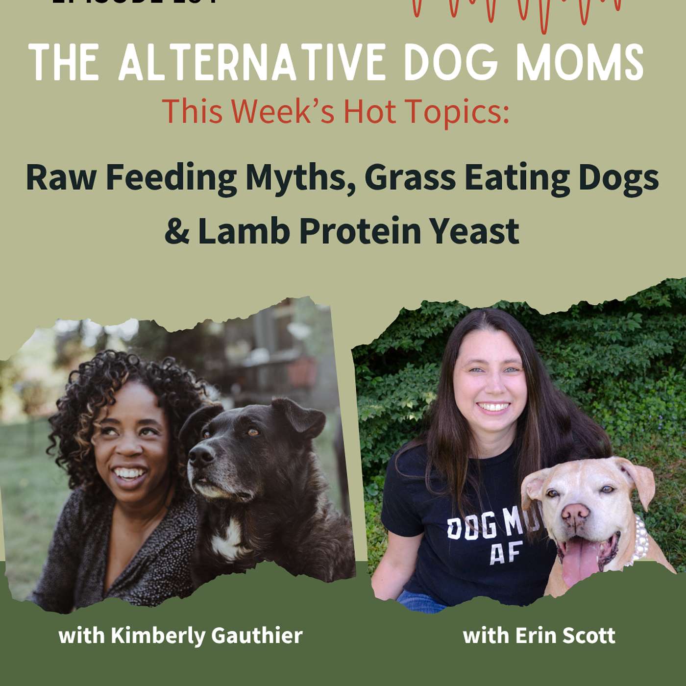 Hot Topics: Raw Feeding Myths, Grass Eating Dogs & Lamb Protein Yeast episode artwork