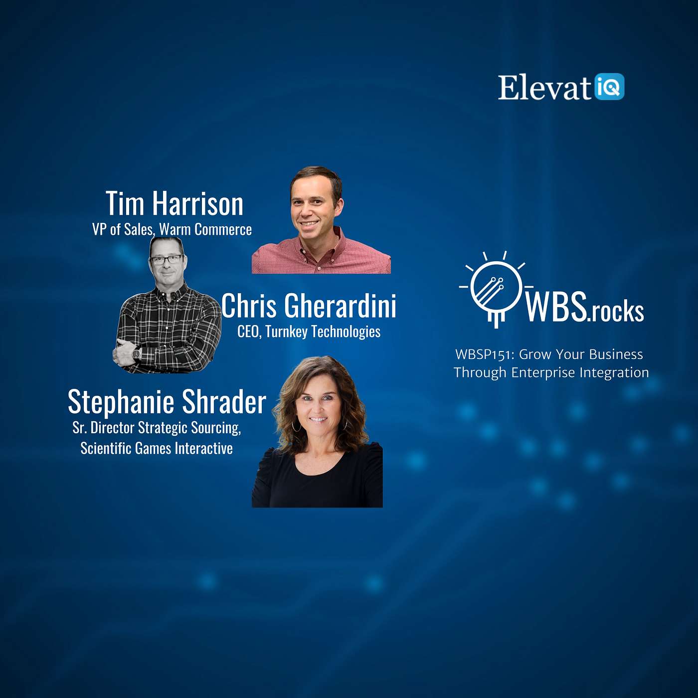 WBSP151: Grow Your Business Through Enterprise Integration, a Live Interview w/ a Panel of Experts