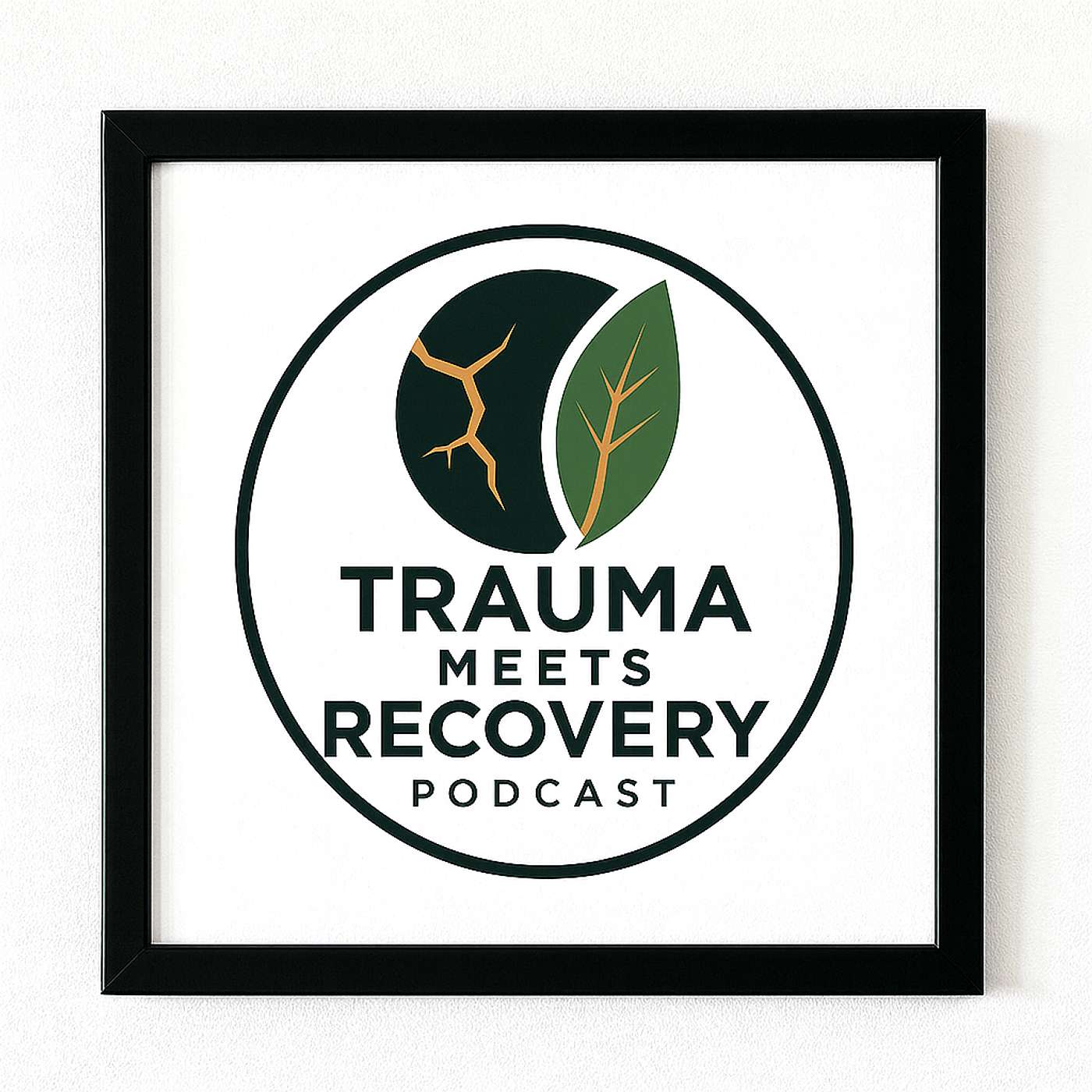 Trauma Meets Recovery Podcast cover art