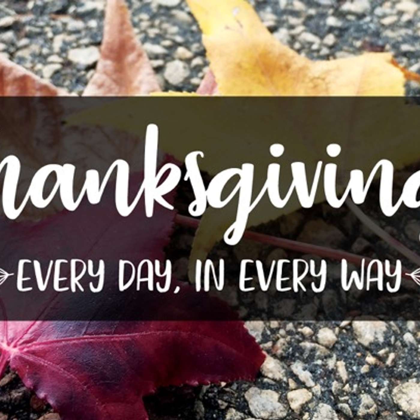 Thanksgiving: Every Day, in Every Way