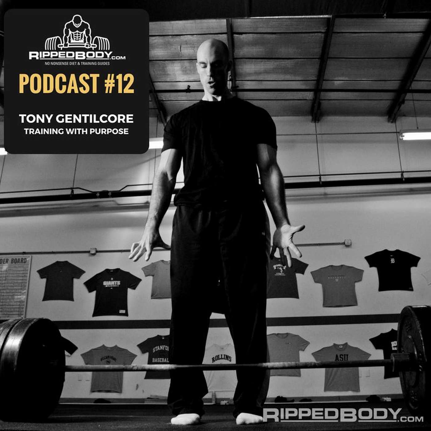 The Ripped Body Podcast