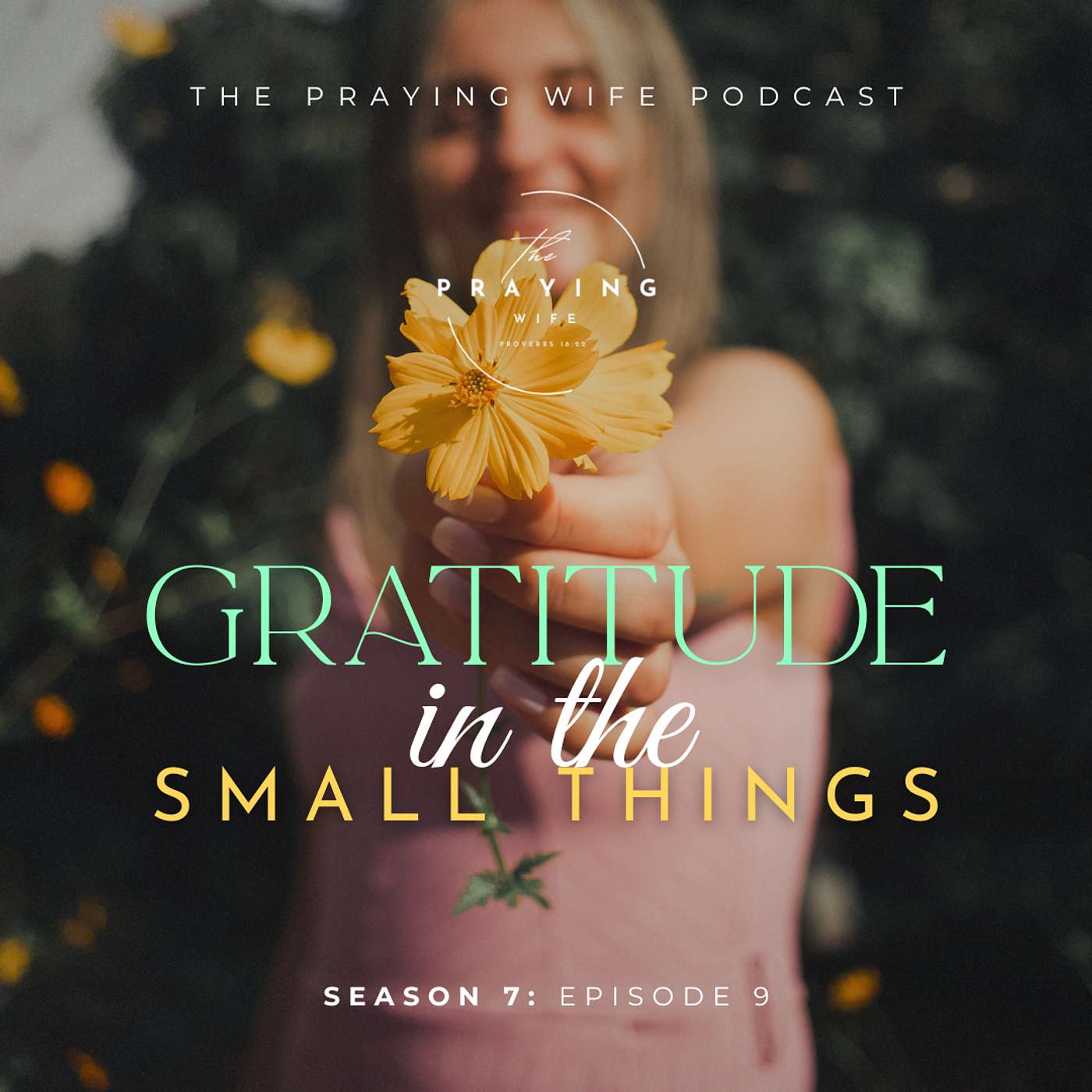 Gratitude In The Small Things Gratitude In The Small Things