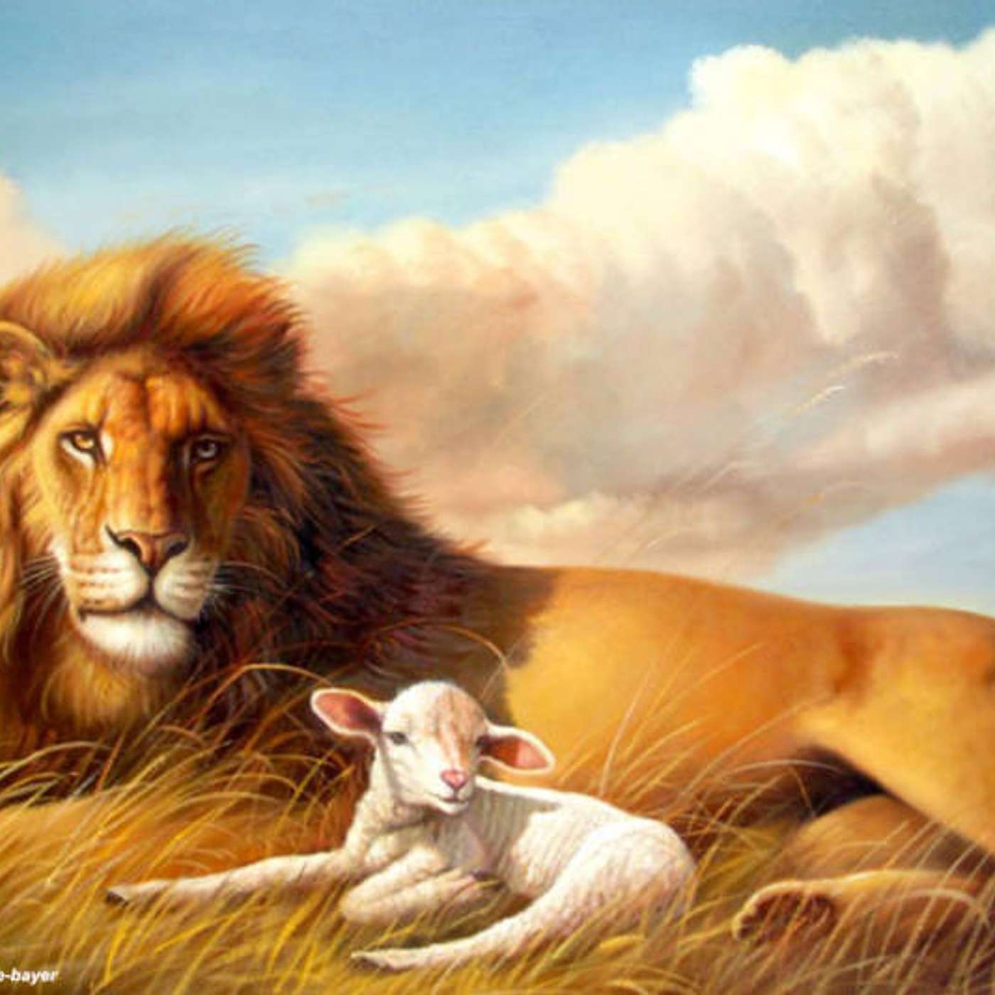 PROCLAIM GOSPEL