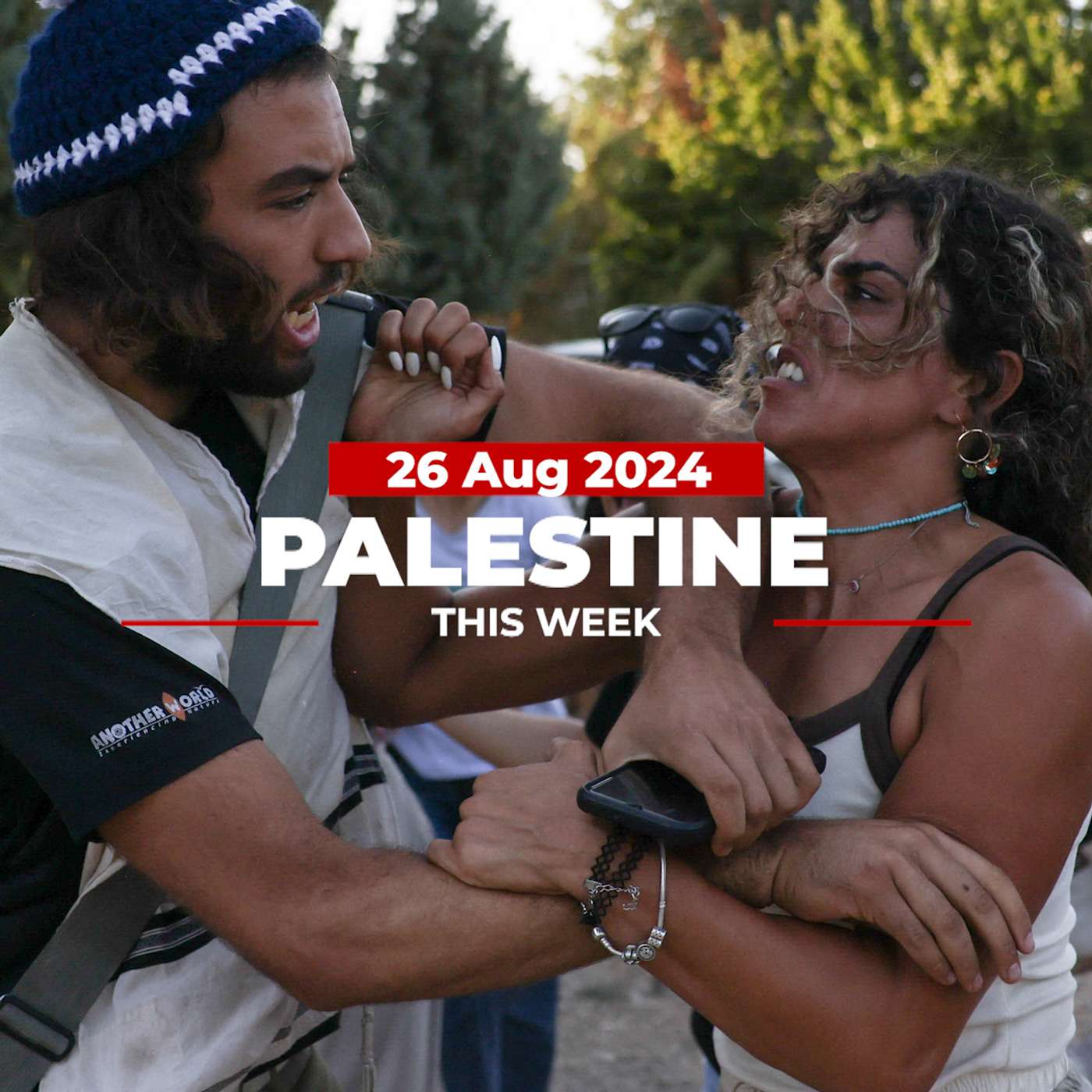 Palestine This Week
