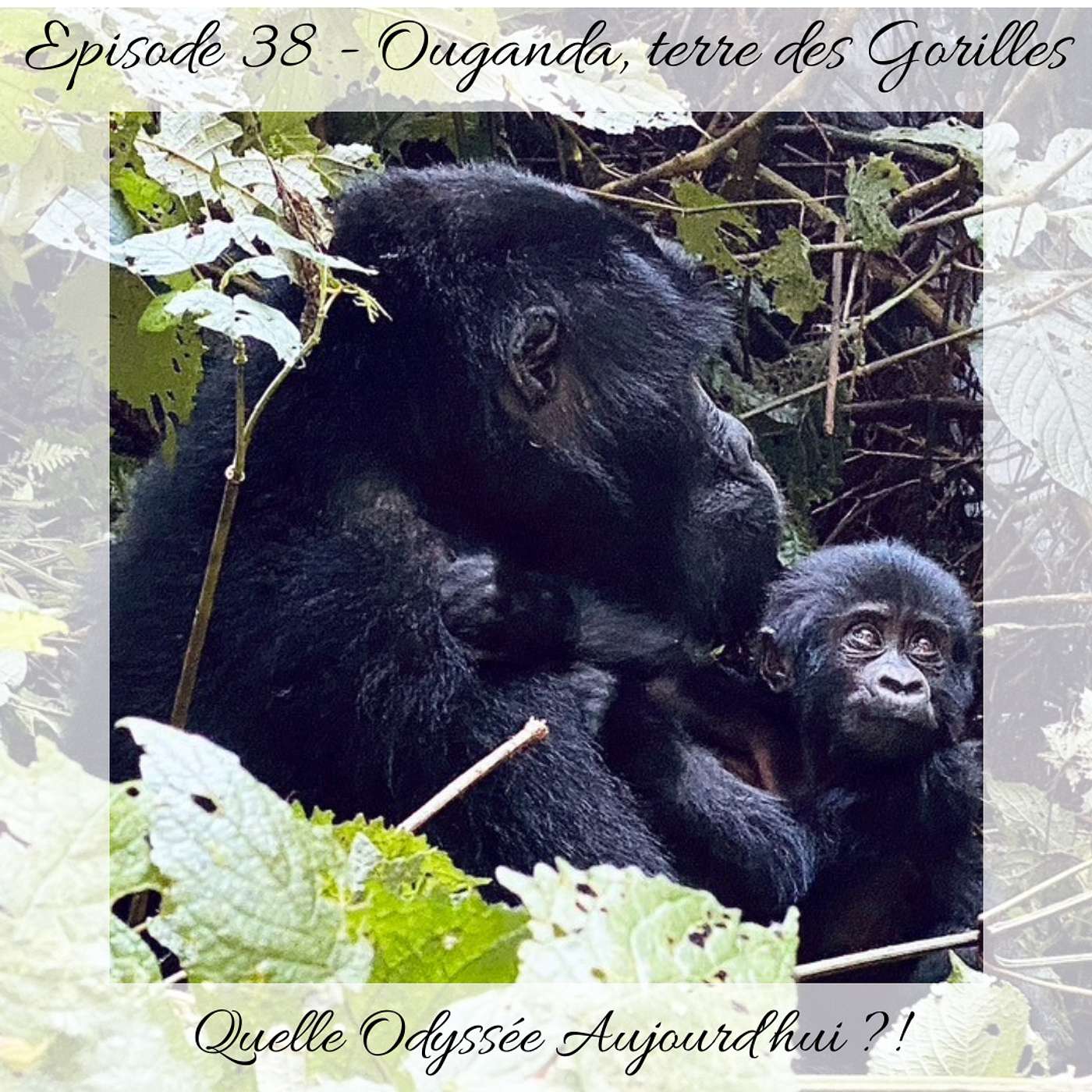 Quelle Odyssée Aujourd\'hui ?!