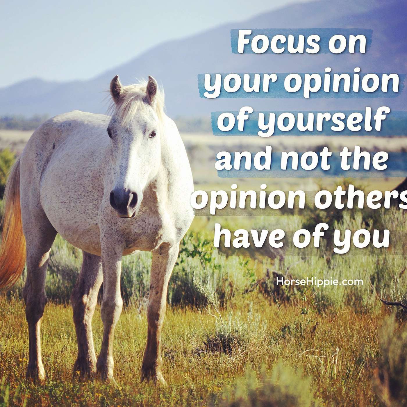 Say Thank You to Your Problems