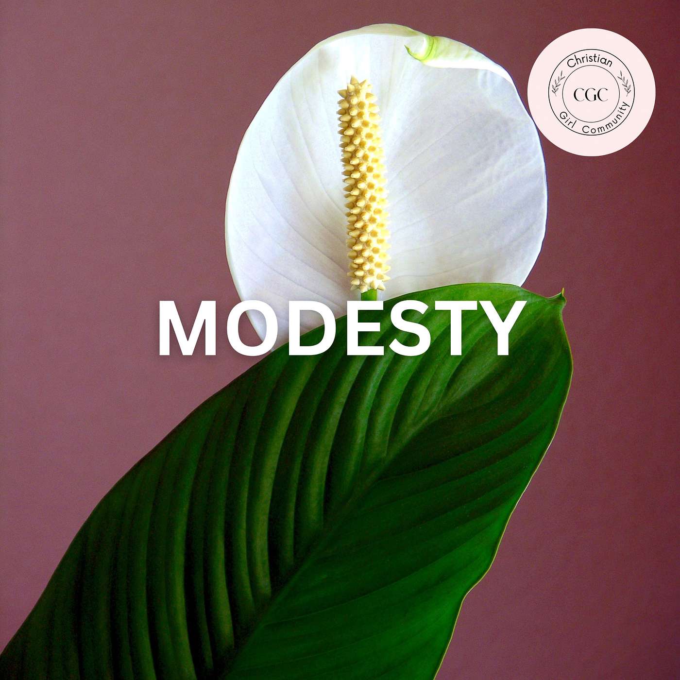 Modesty episode artwork