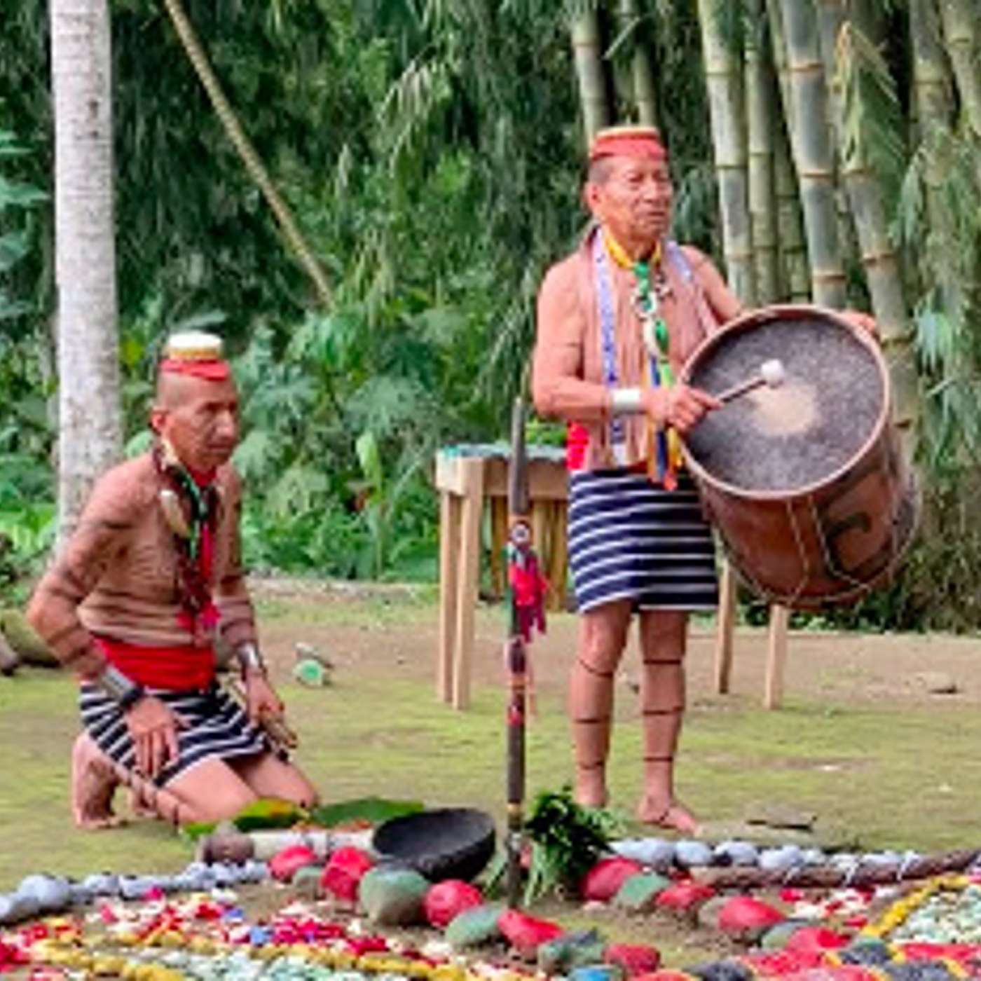 Song of the T'satchila: Indigenous Healing Sounds from the Ecuador Cloud Forest