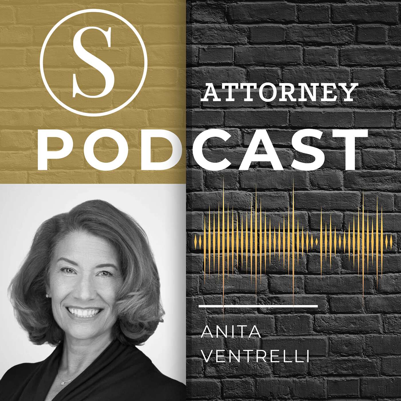 Anita Ventrelli: Navigating High-Stakes Family Law, Advocacy, Resilience, and Mentorship