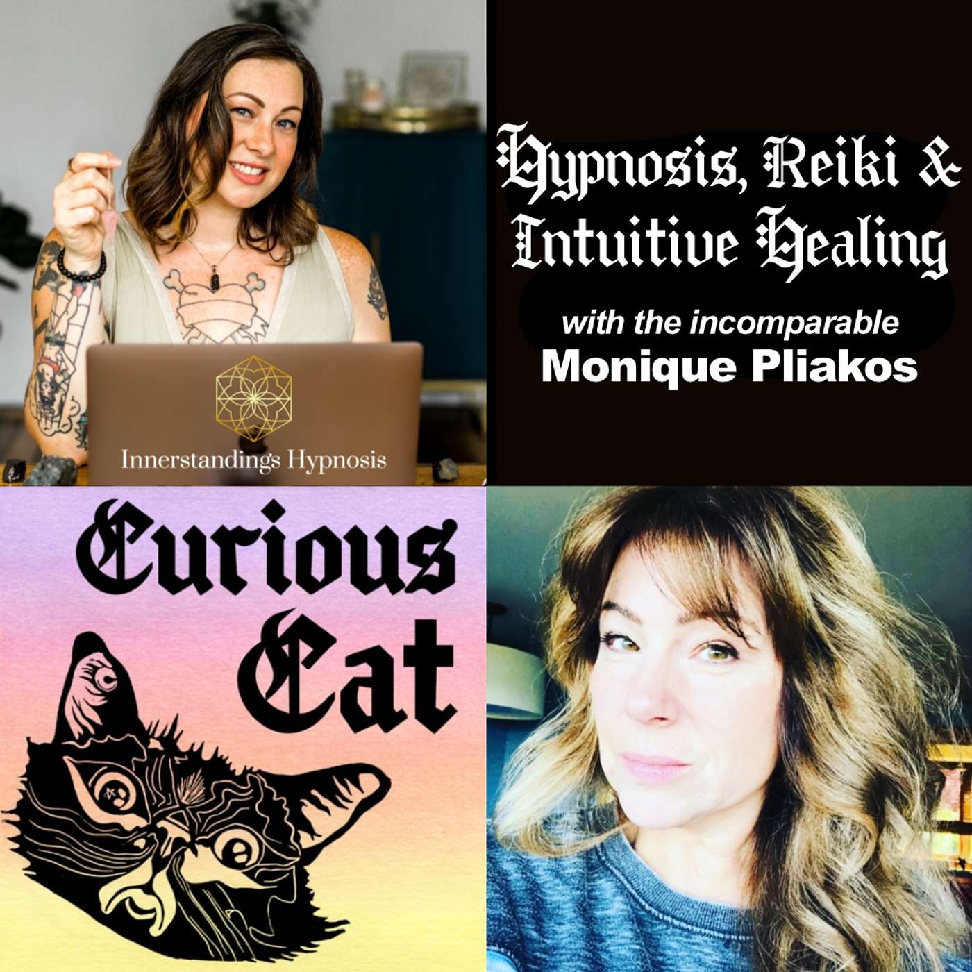 Curious Cat