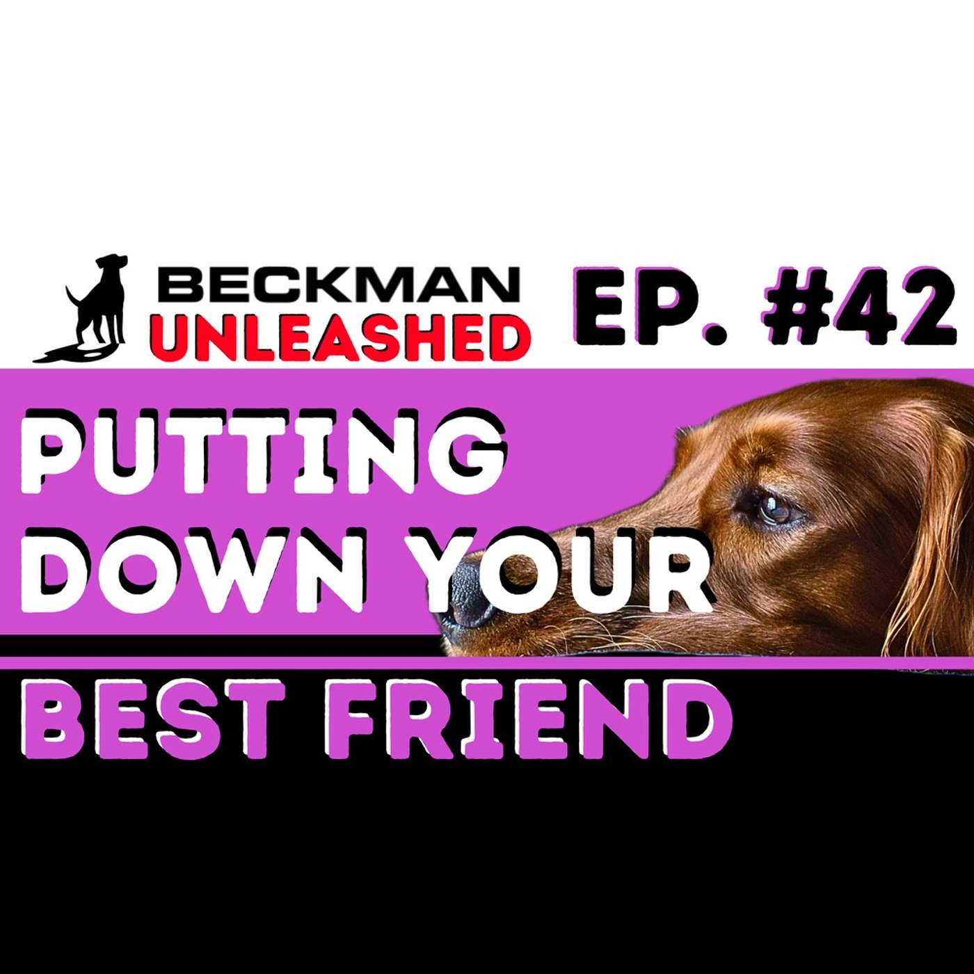 Ep. 42 - Letting Go - When is it ever okay to euthanize a dog?