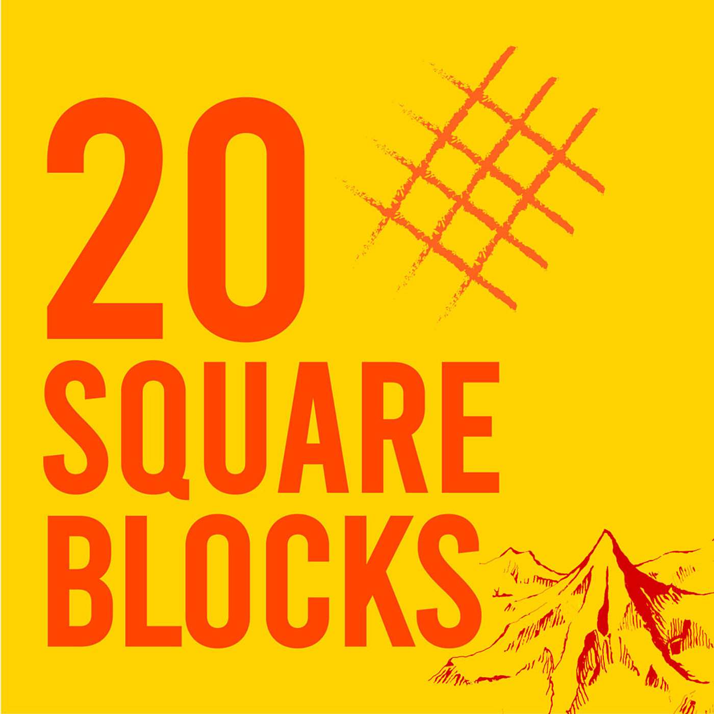 20 Square Blocks