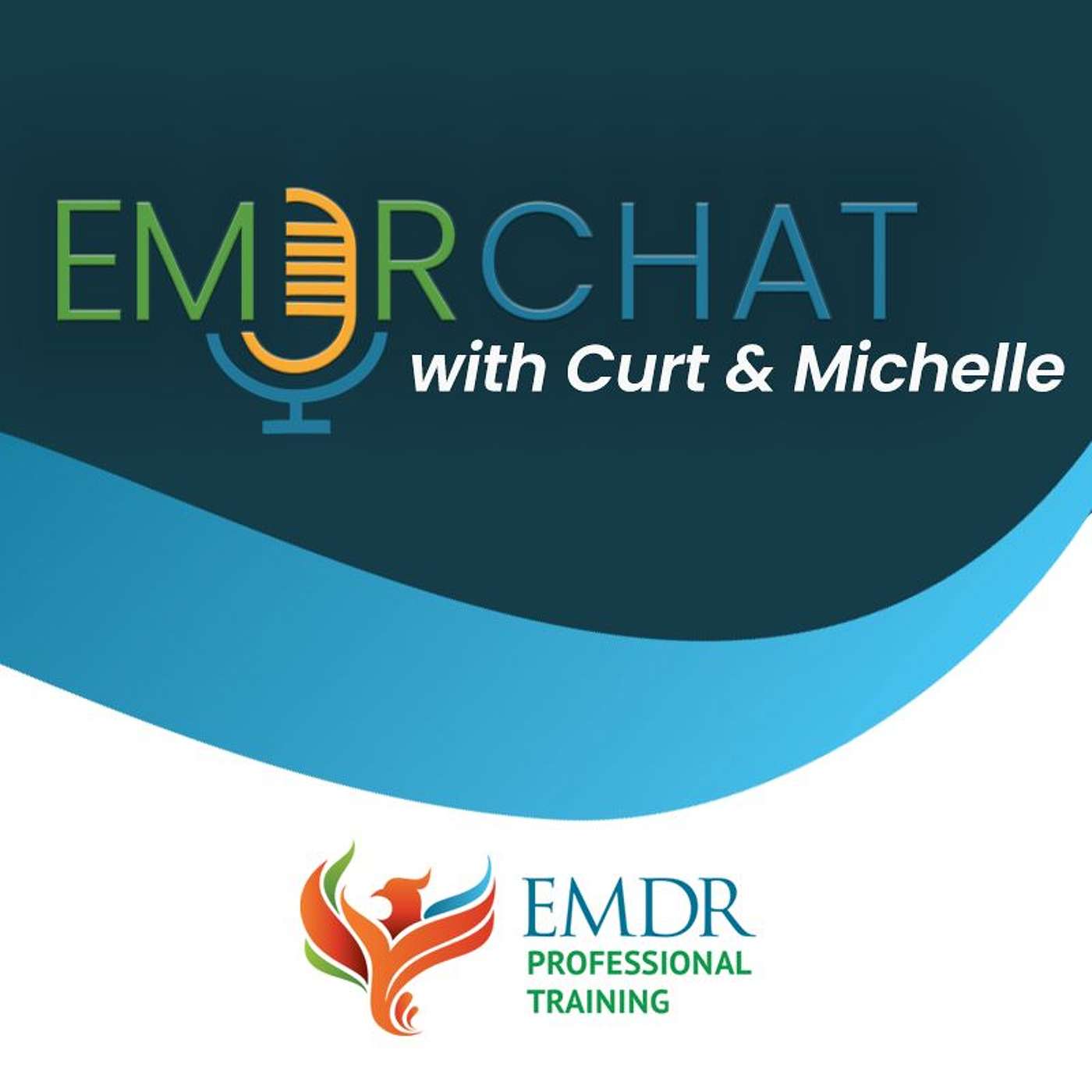 EMDR Chat #35:  What about the use of other modalities with EMDR therapy?