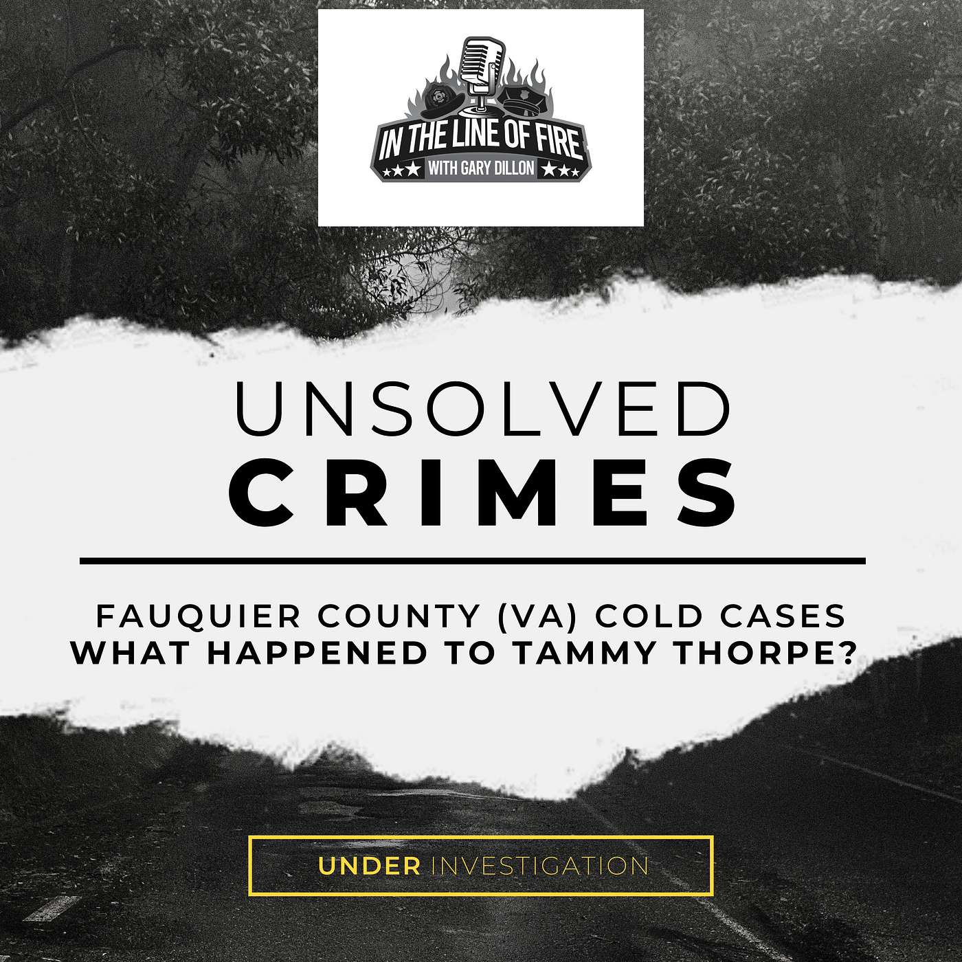 2025-06 - Cold Case: Tammy Thorpe (Fauquier County, VA) 2025-06 - Cold Case: Tammy Thorpe (Fauquier County, VA)