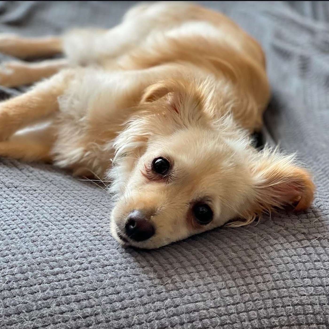 E8- Application Process Part 2 & Adoption Meeting E8- Application Process Part 2 & Adoption Meeting