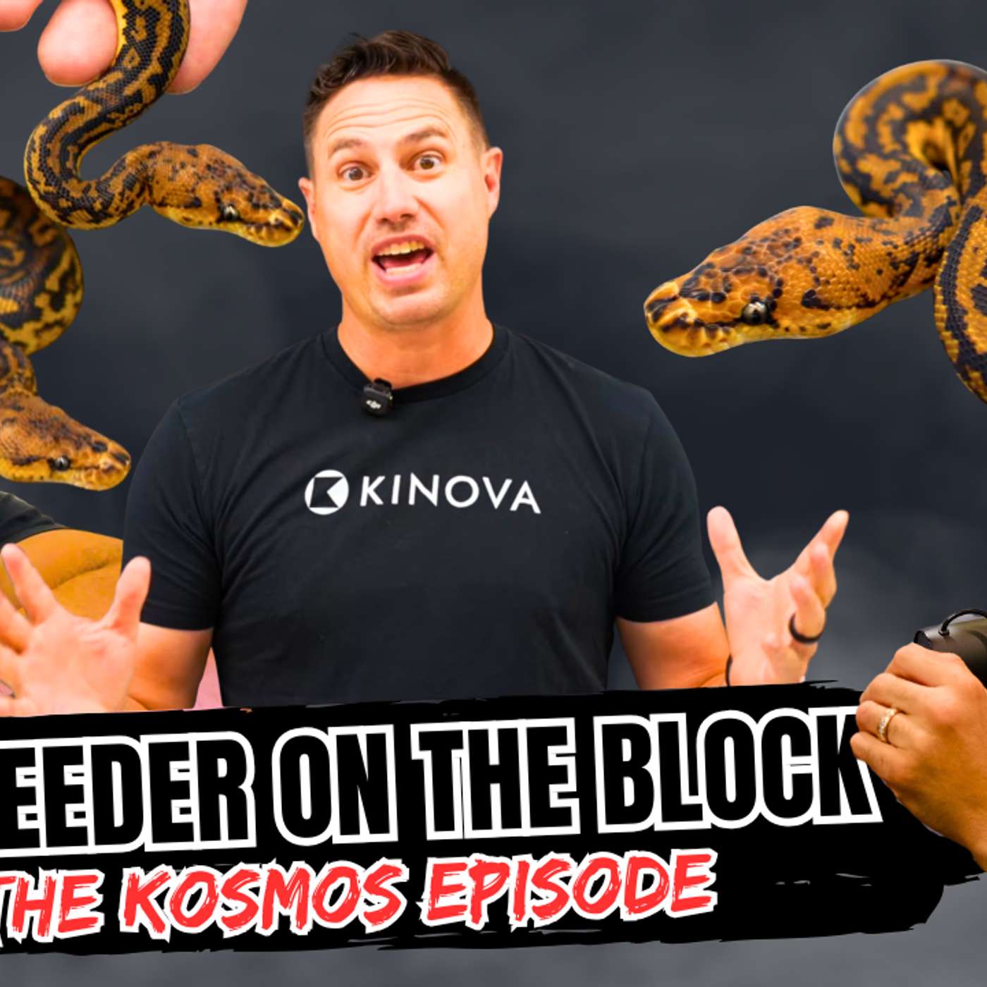 Is Kosmos The BEST Granite Gene In The Ball Python Game? | Top Breeder On The Block Ep.820 (Live) episode artwork